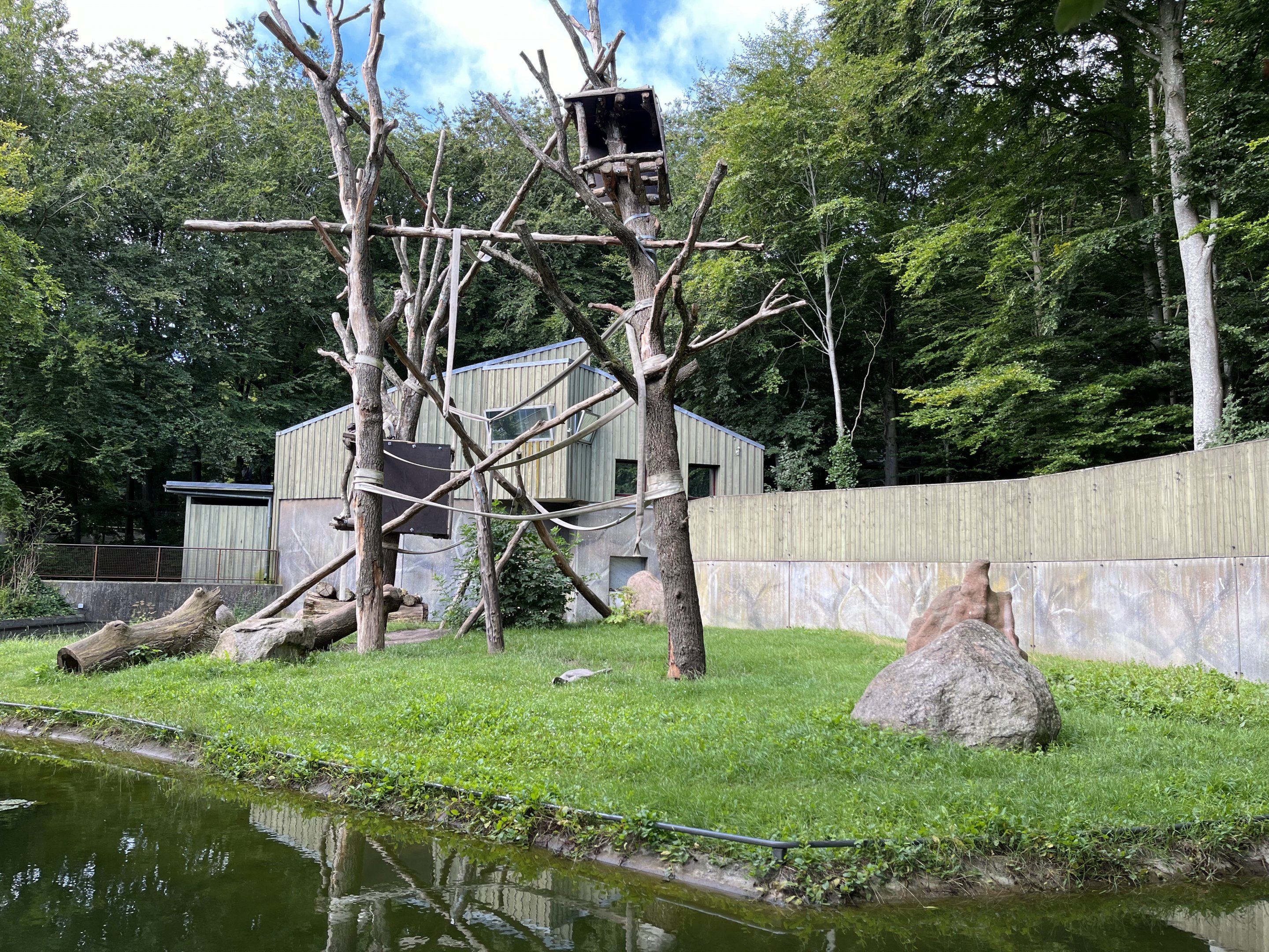 Chimpanzee Exhibit