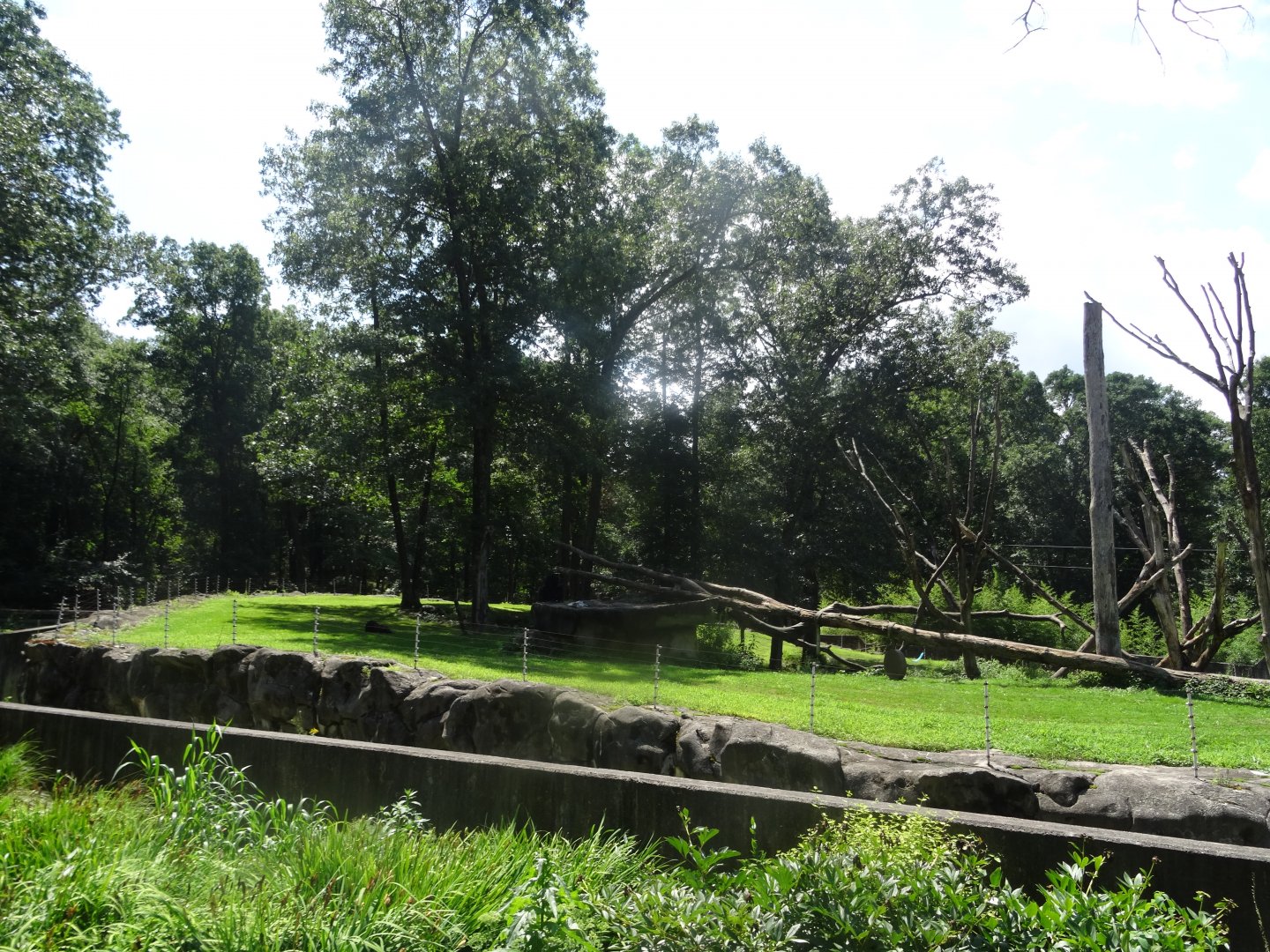 Chimpanzee Exhibit
