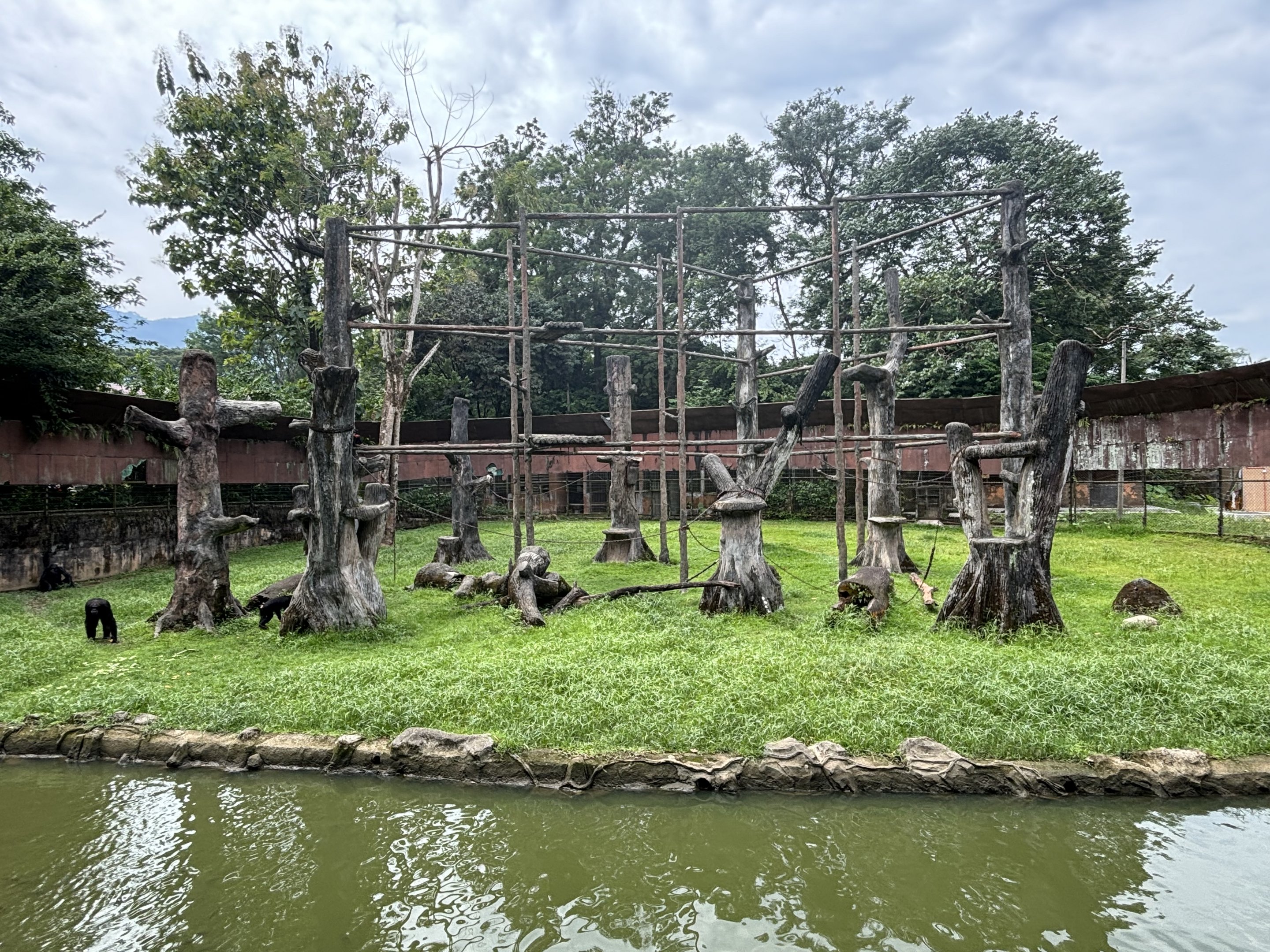Chimpanzee Exhibit