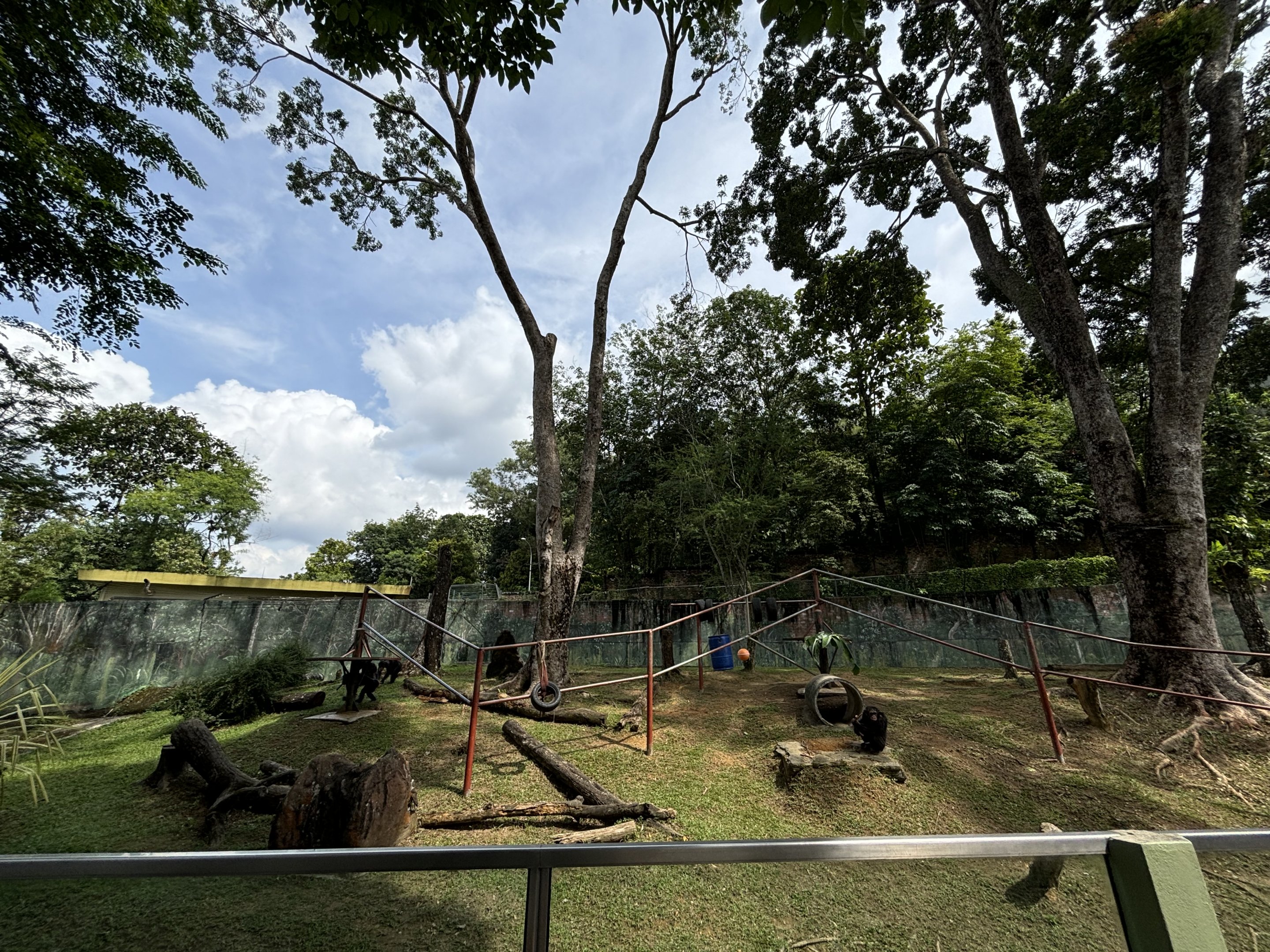 Chimpanzee Exhibit