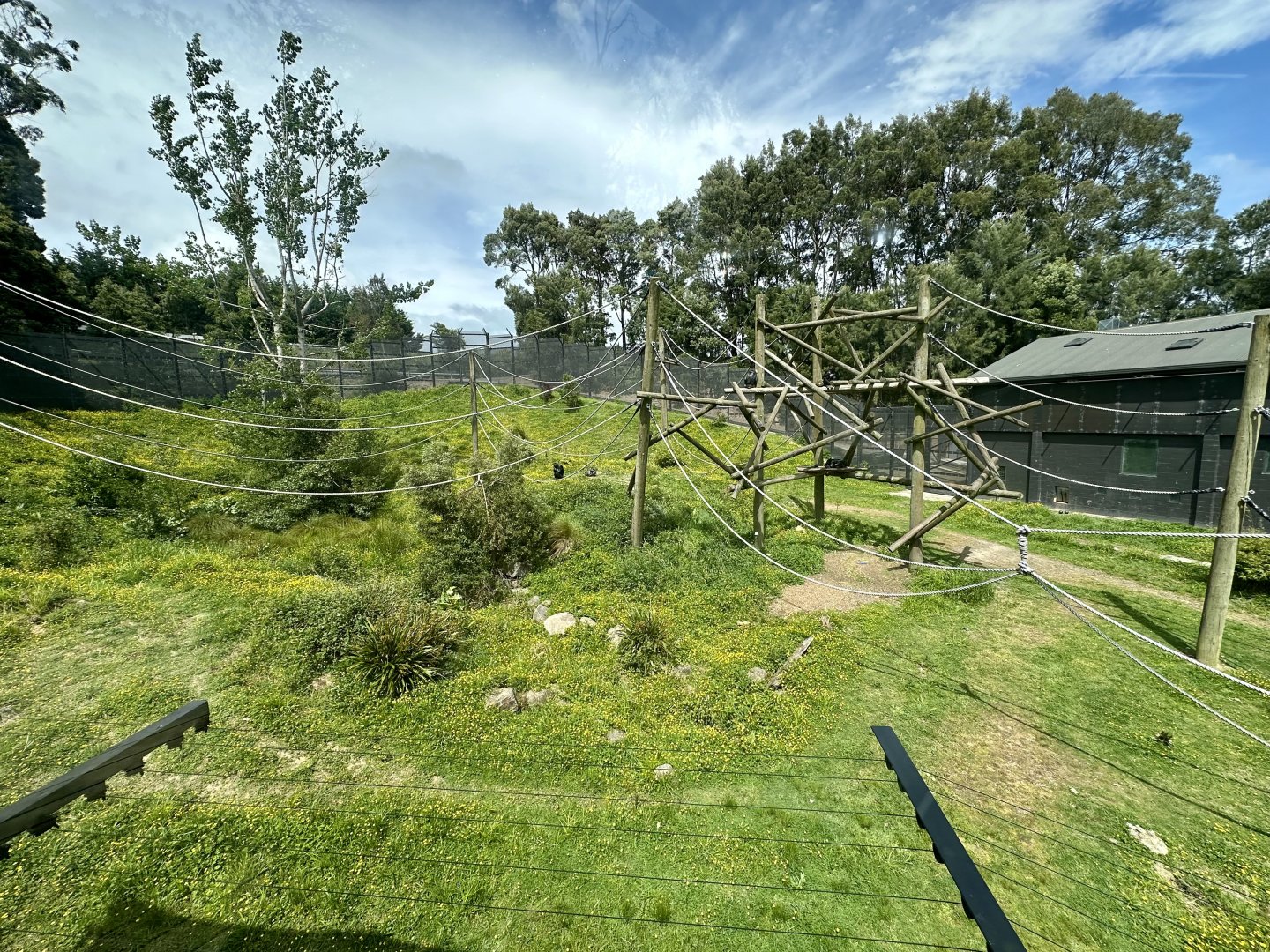 Chimpanzee Exhibit