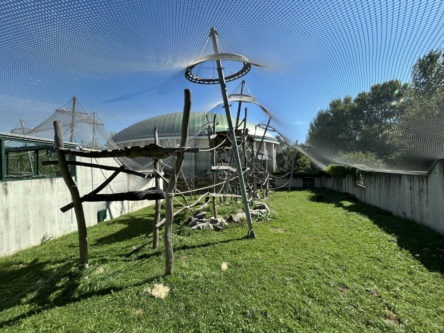 Chimpanzee Exhibit