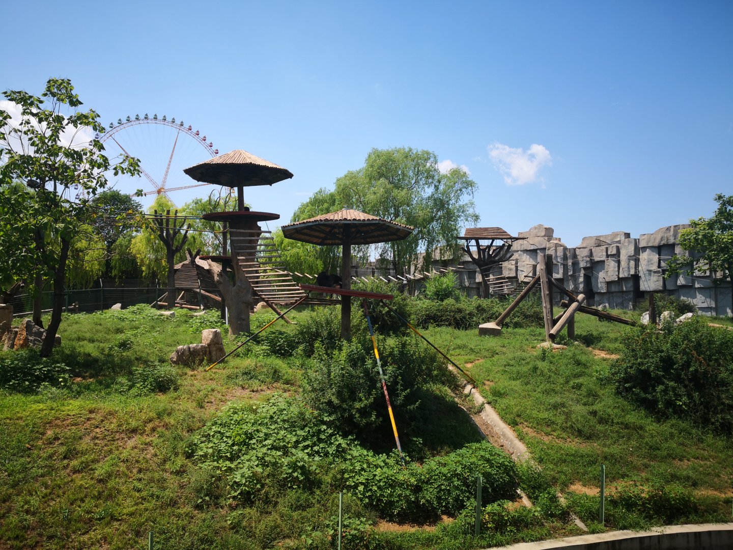 Chimpanzee exhibition