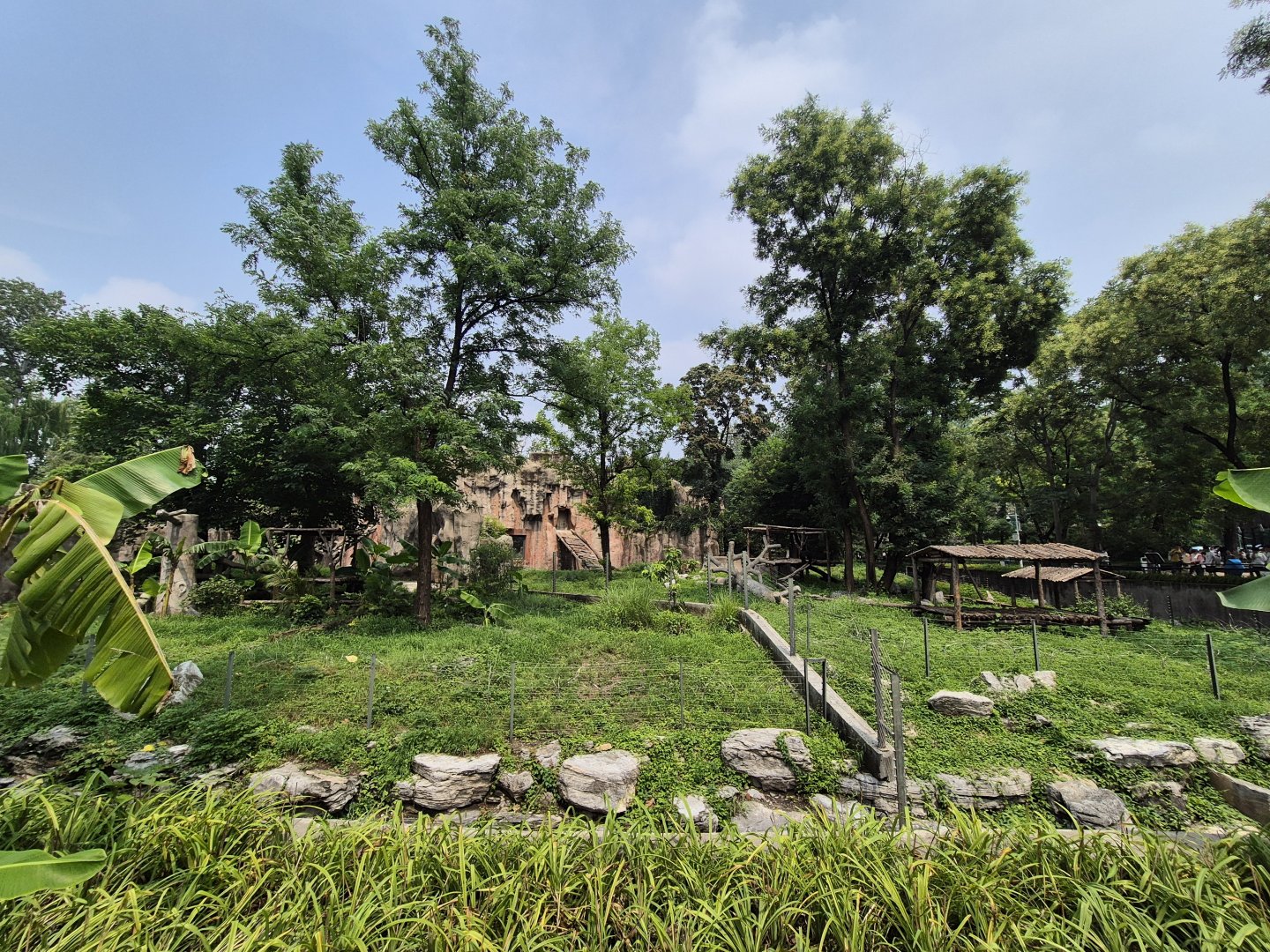 Chimpanzee/ Former Gorilla exhibit