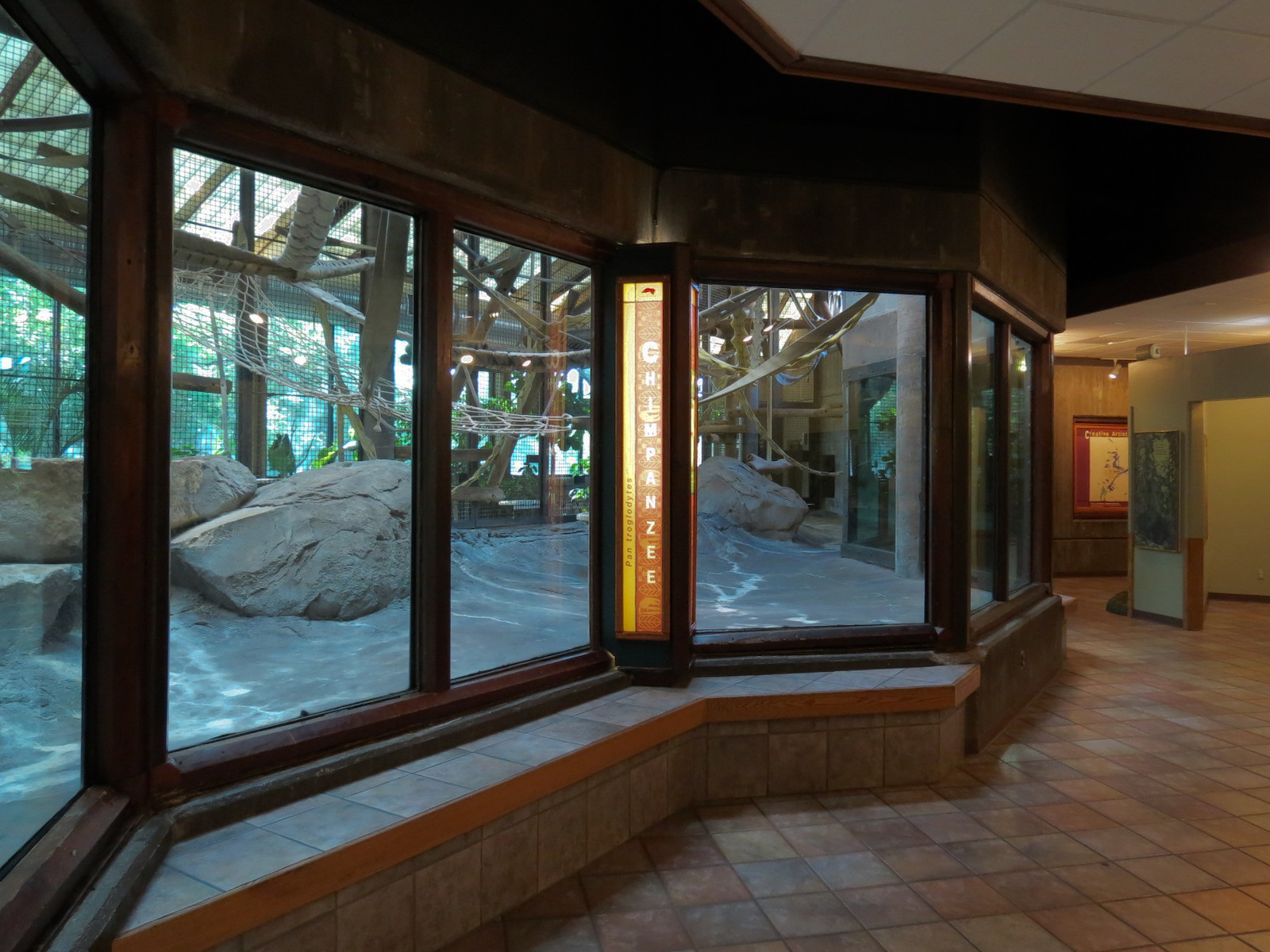 Chimpanzee Habitat - Indoor Bedroom View