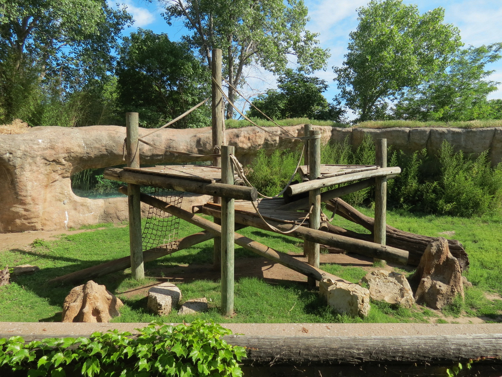 Chimpanzee Habitat - Upper Level View