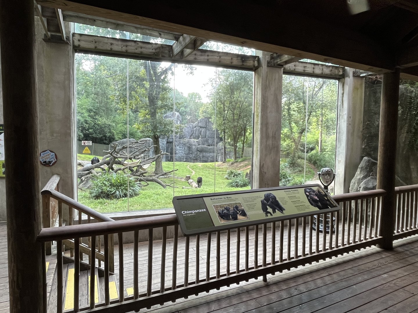 Chimpanzee Habitat View