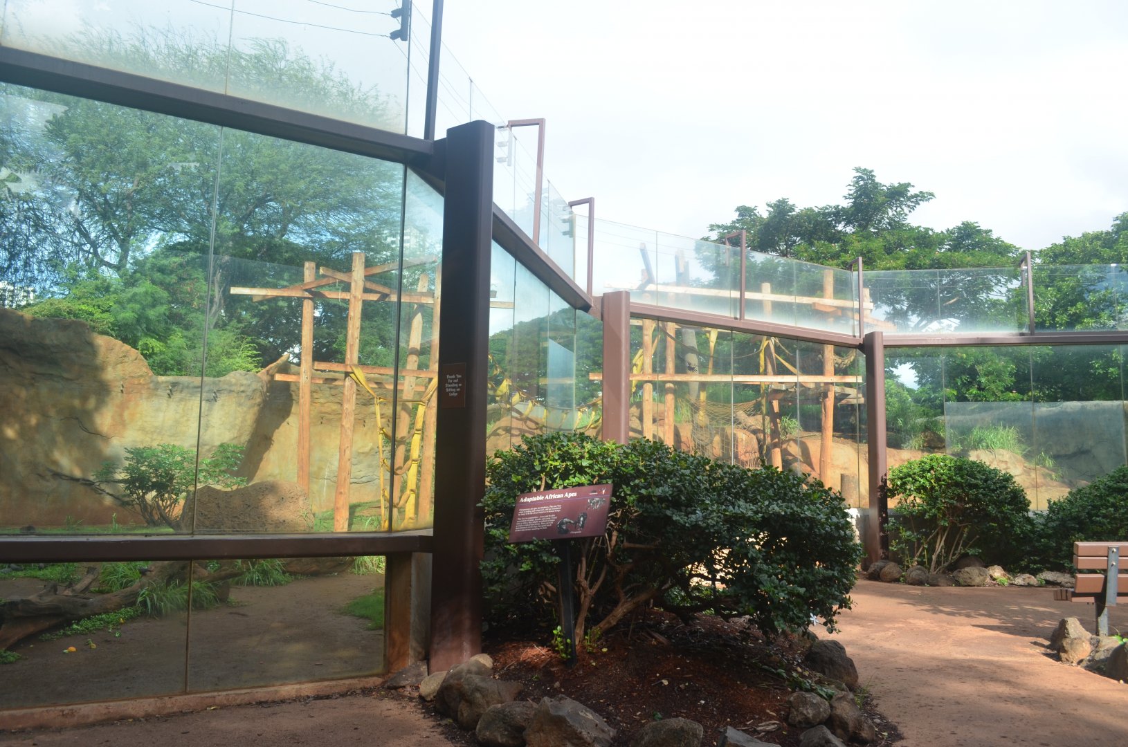 Chimpanzee Habitat