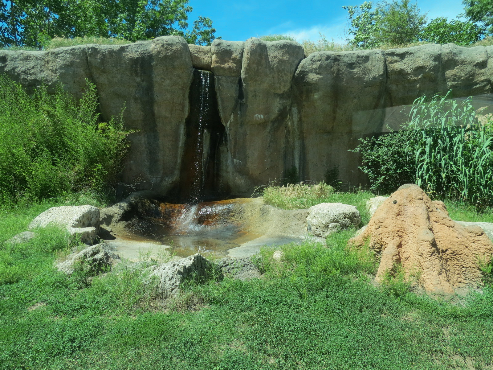 Chimpanzee Habitat
