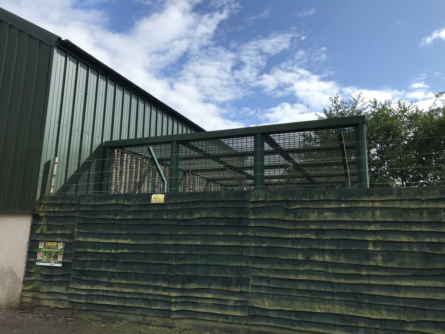 Chimpanzee holding area