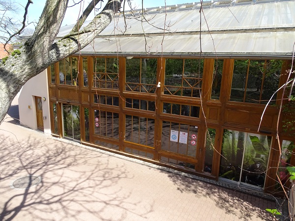 Chimpanzee house (04/22)