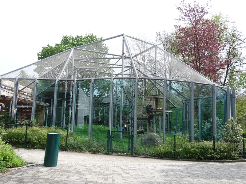 Chimpanzee House: Chimpanzee outdoor enclosure