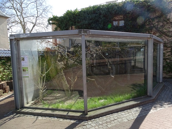 Chimpanzee House; cottontop tamarin and Brazilian porcupine enclosure (04/22)