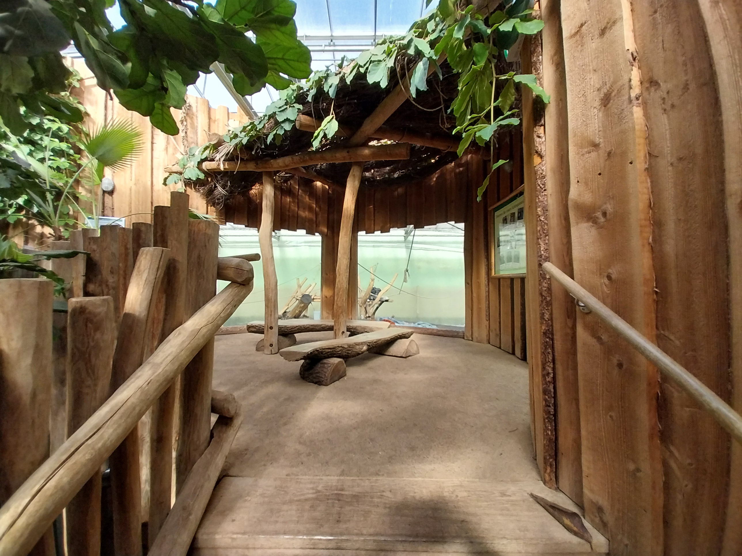 Chimpanzee House - First indoor exhibit - Viewing platform