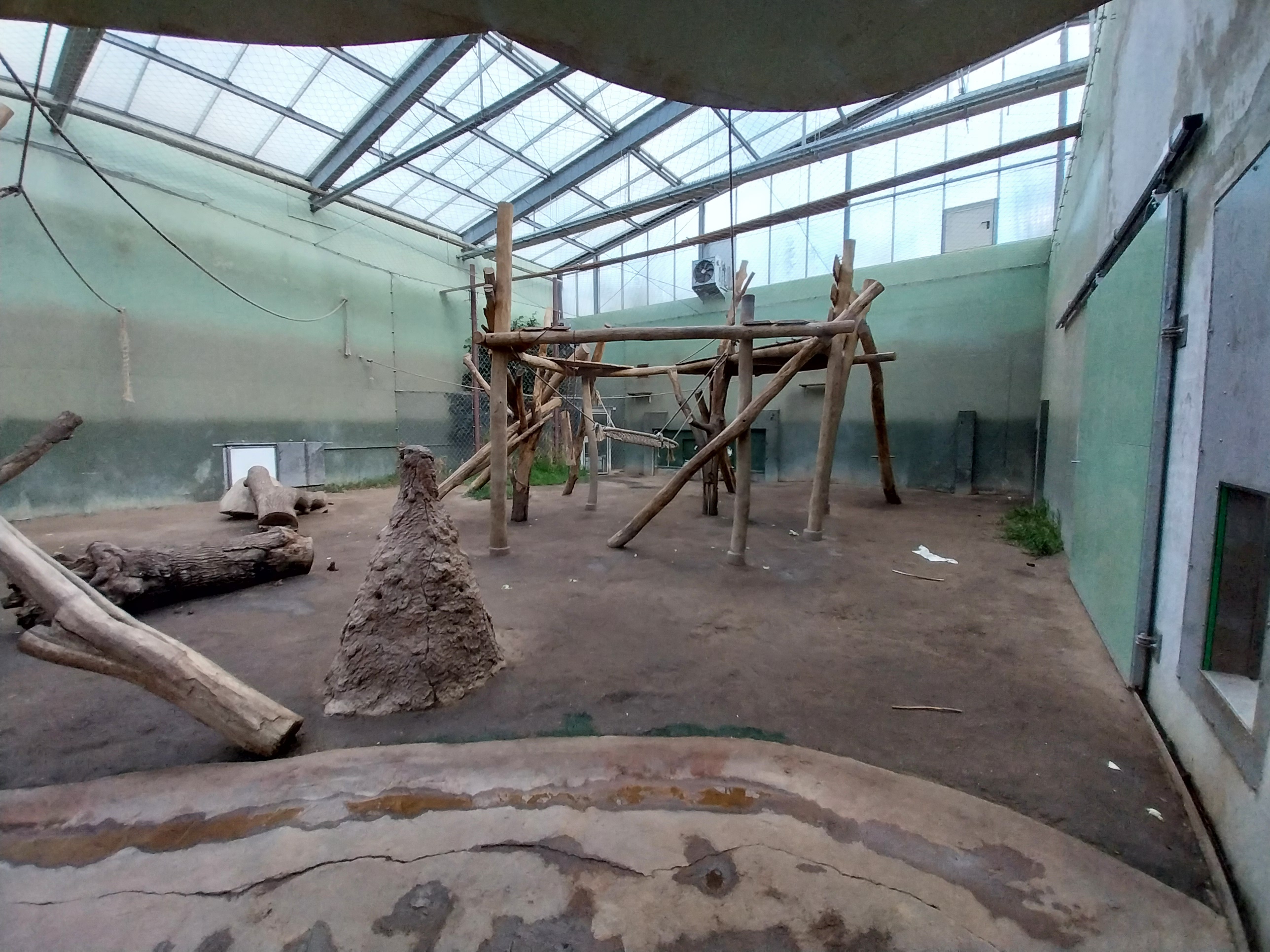 Chimpanzee House - First indoor exhibit