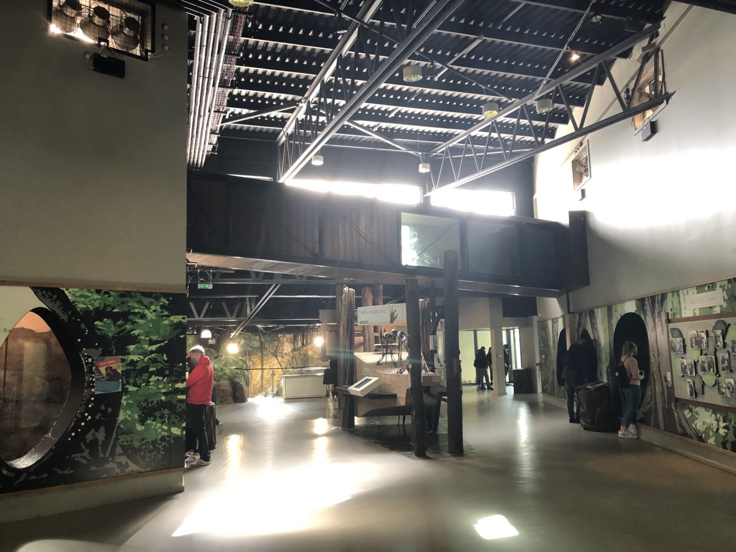 Chimpanzee House Interior at Edinburgh Zoo (2020)