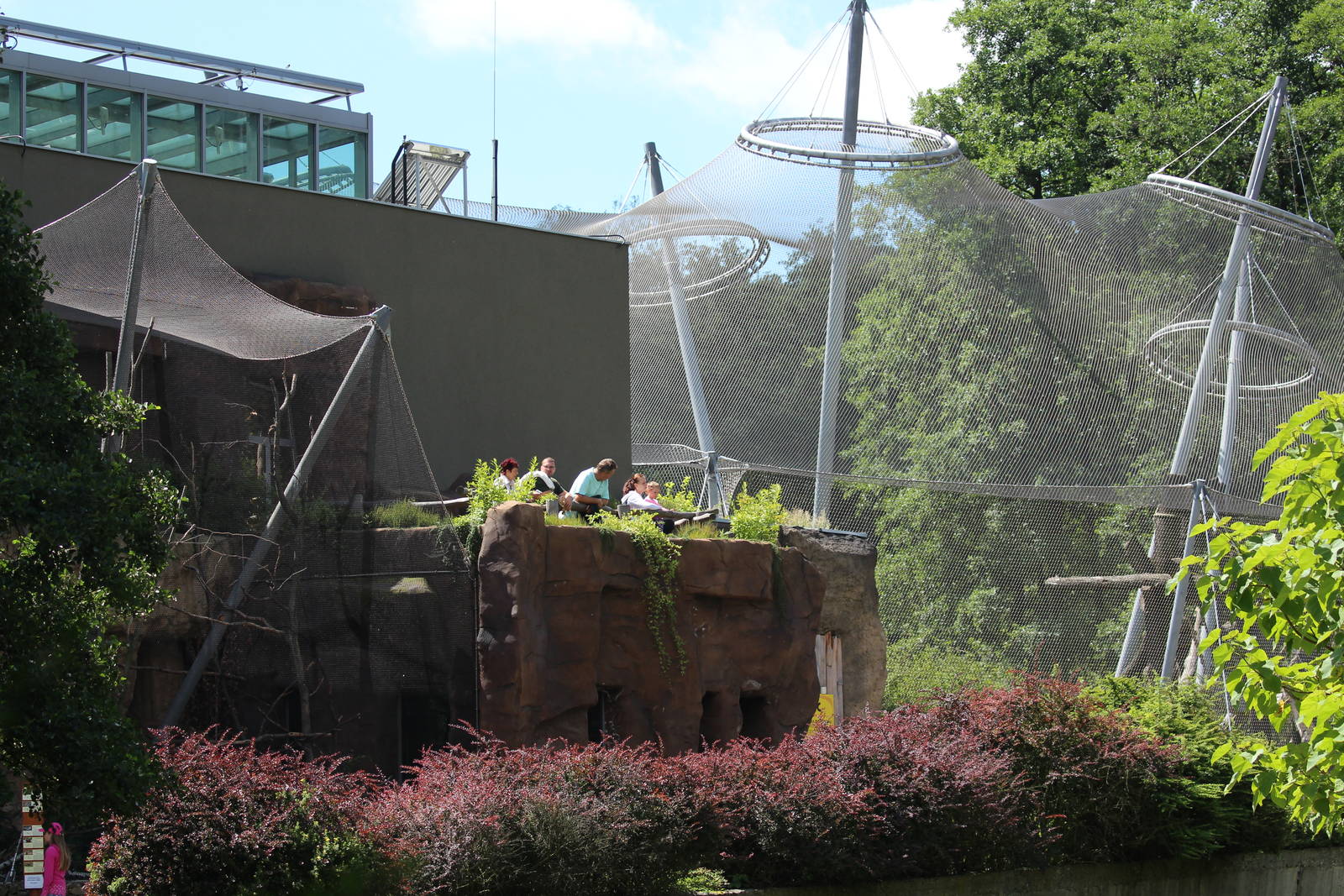 Chimpanzee House, July 2016