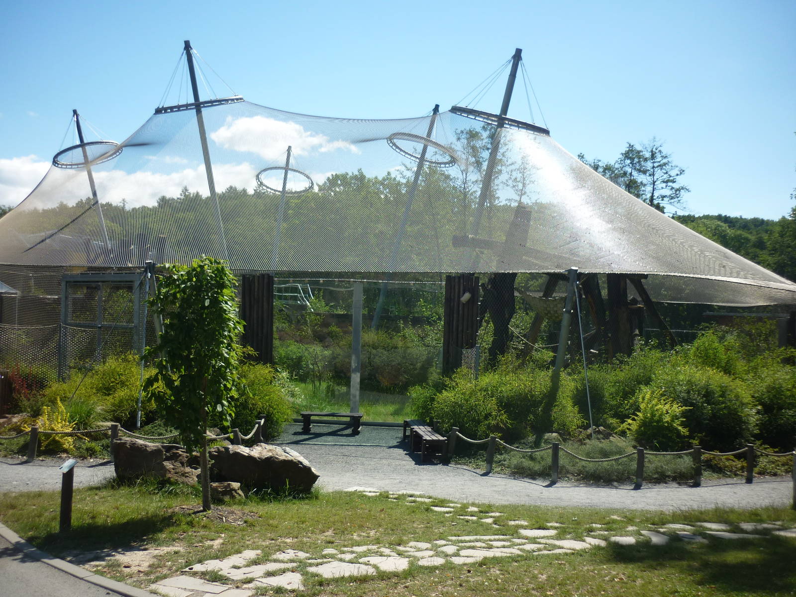 Chimpanzee House, July 2016