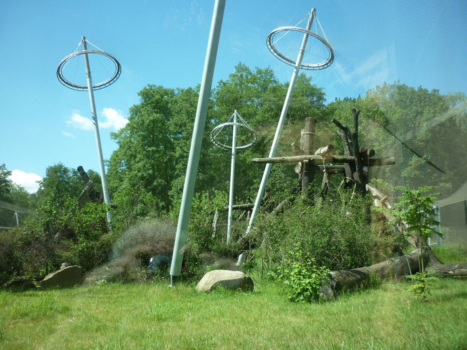 Chimpanzee House, July 2016