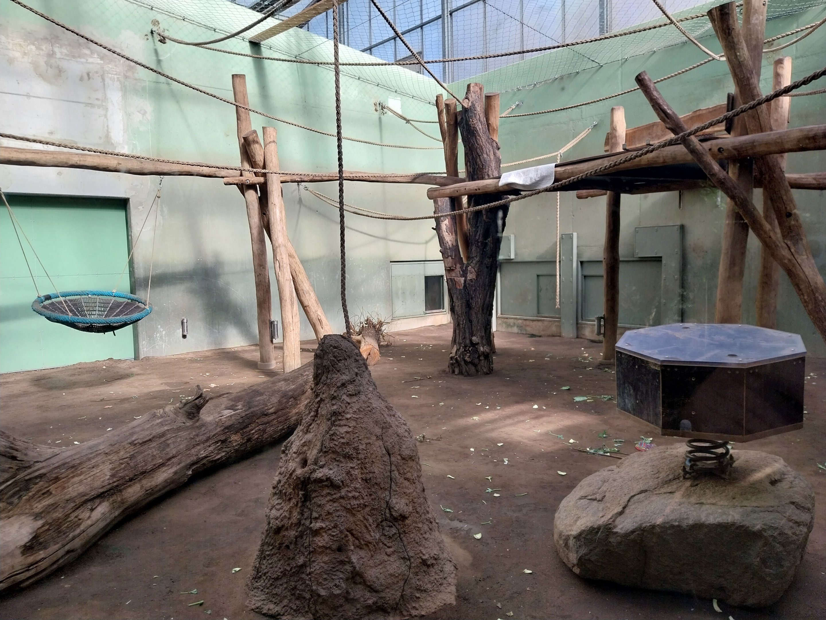 Chimpanzee House - Second indoor exhibit