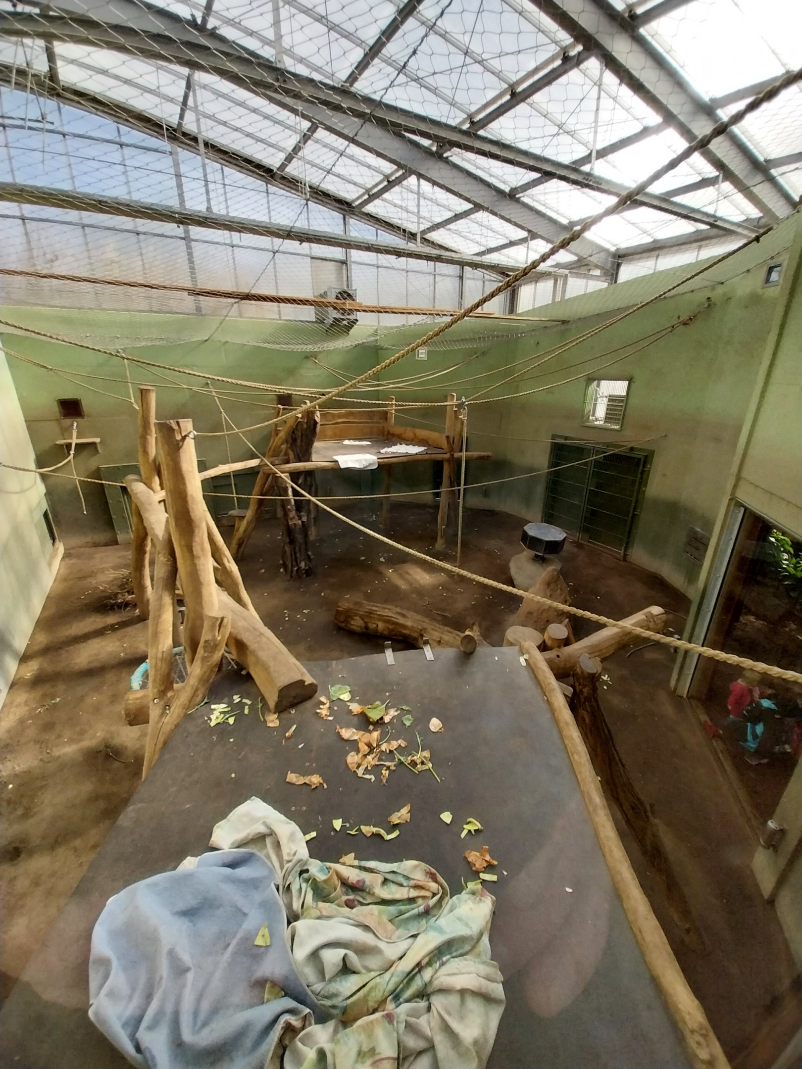 Chimpanzee House - Second indoor exhibit