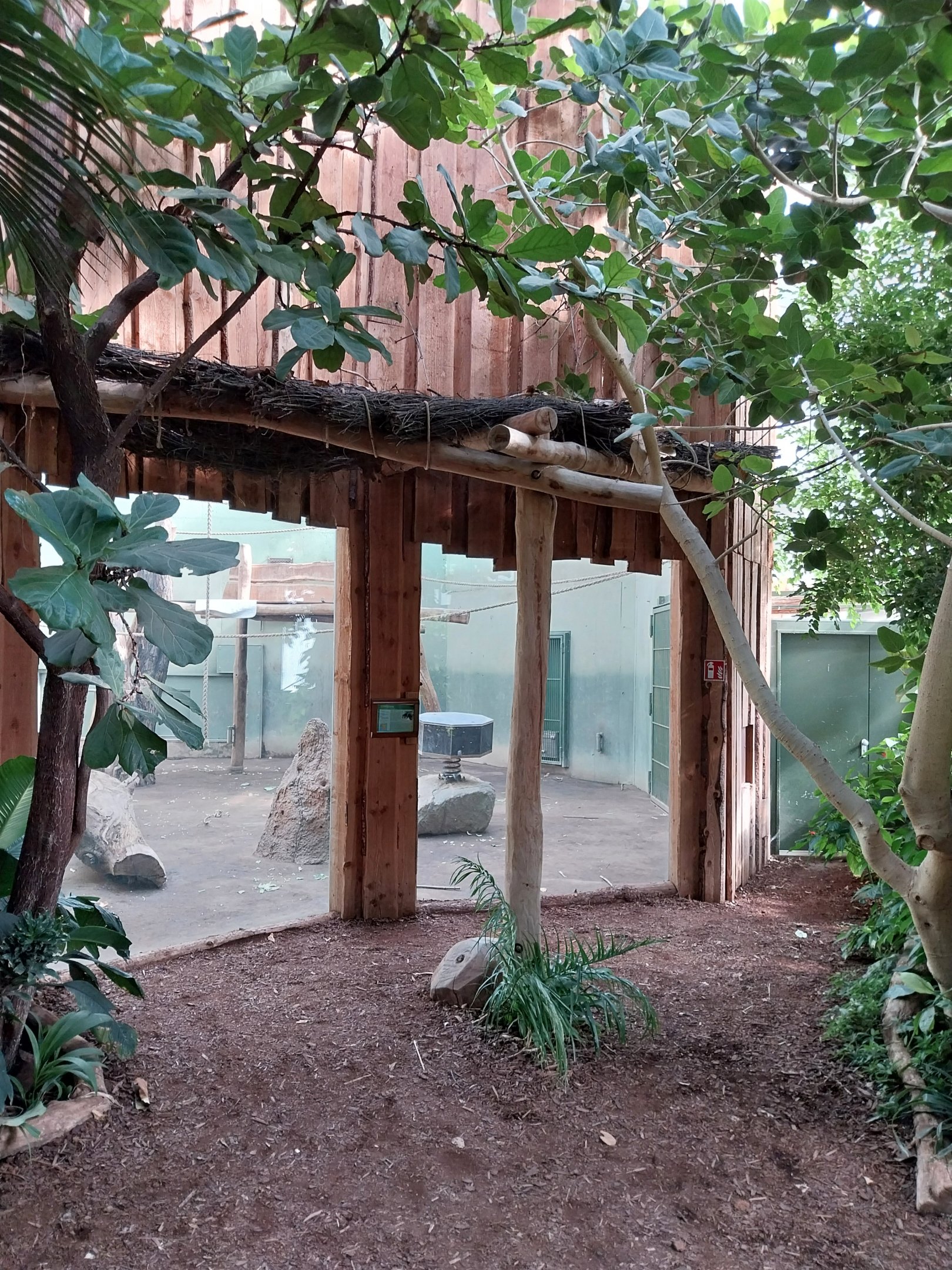 Chimpanzee House - Second indoor exhibit
