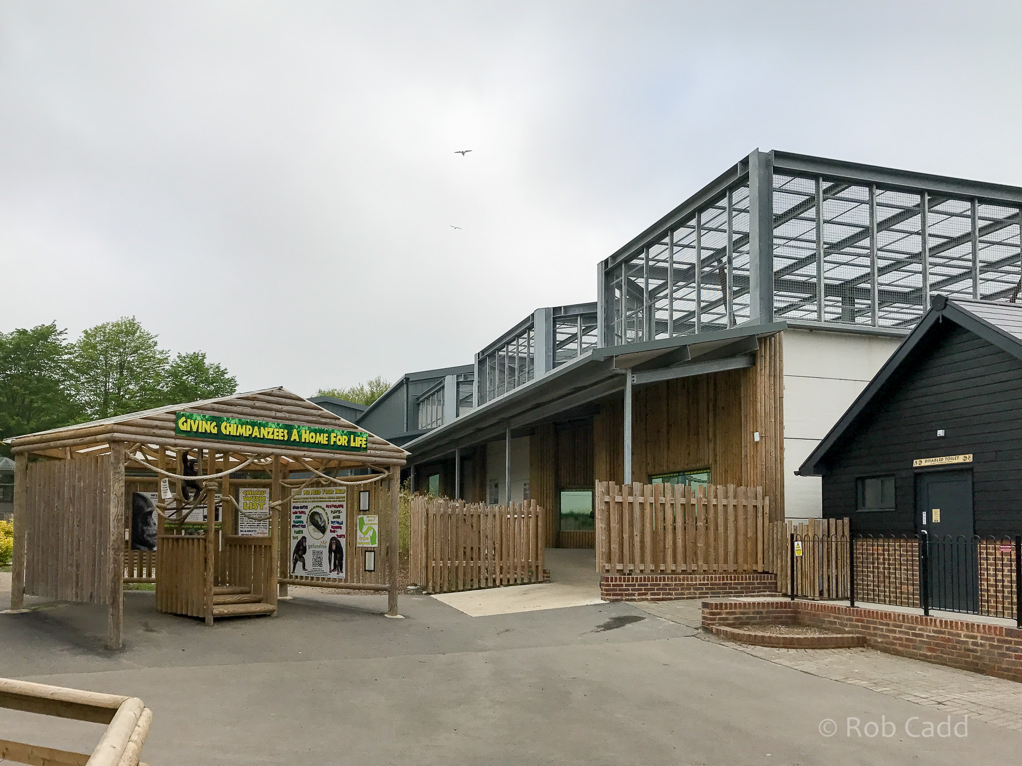 Chimpanzee house : Wingham : 06 May 2017