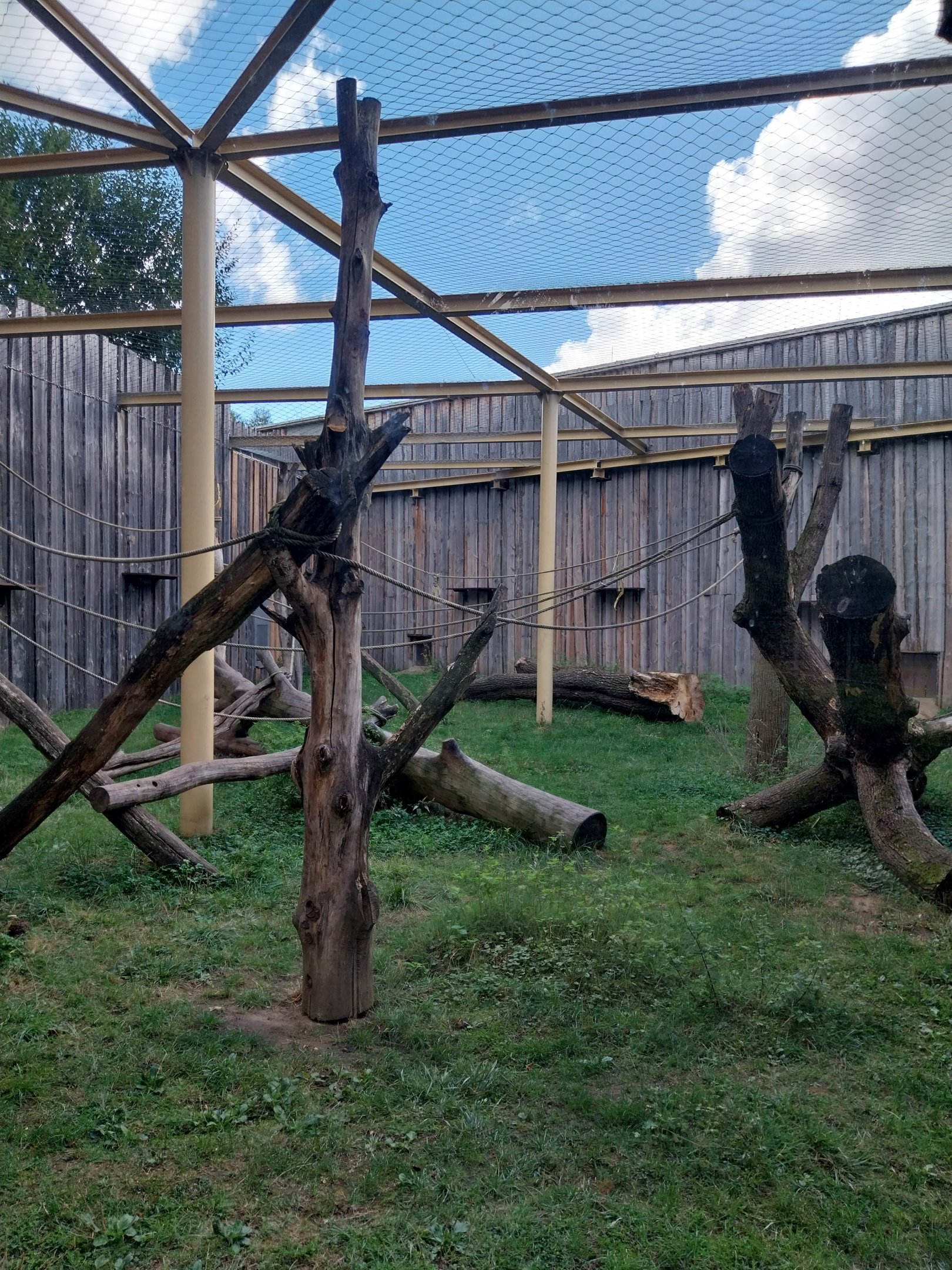 Chimpanzee House - Winter cage