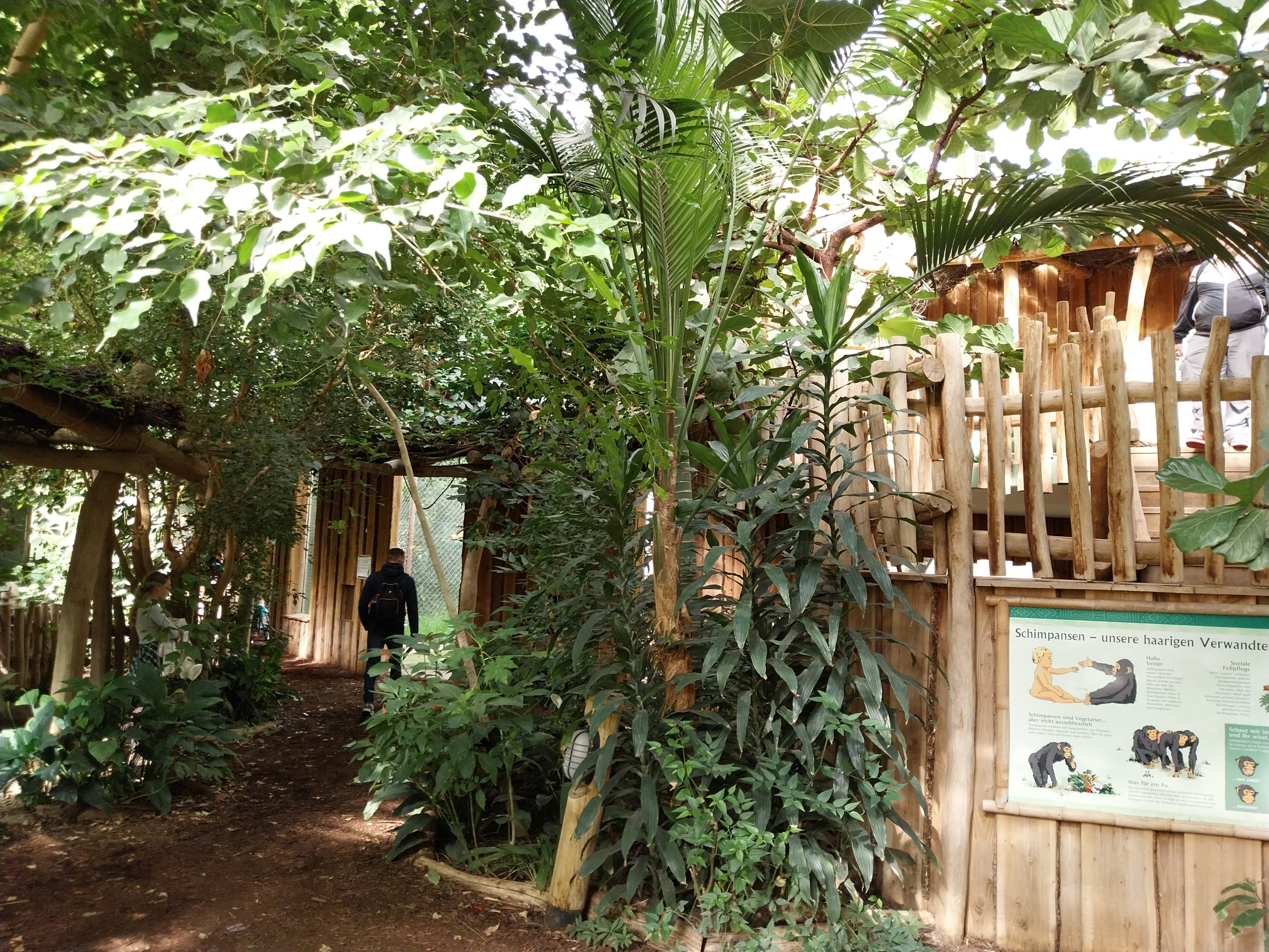 Chimpanzee House