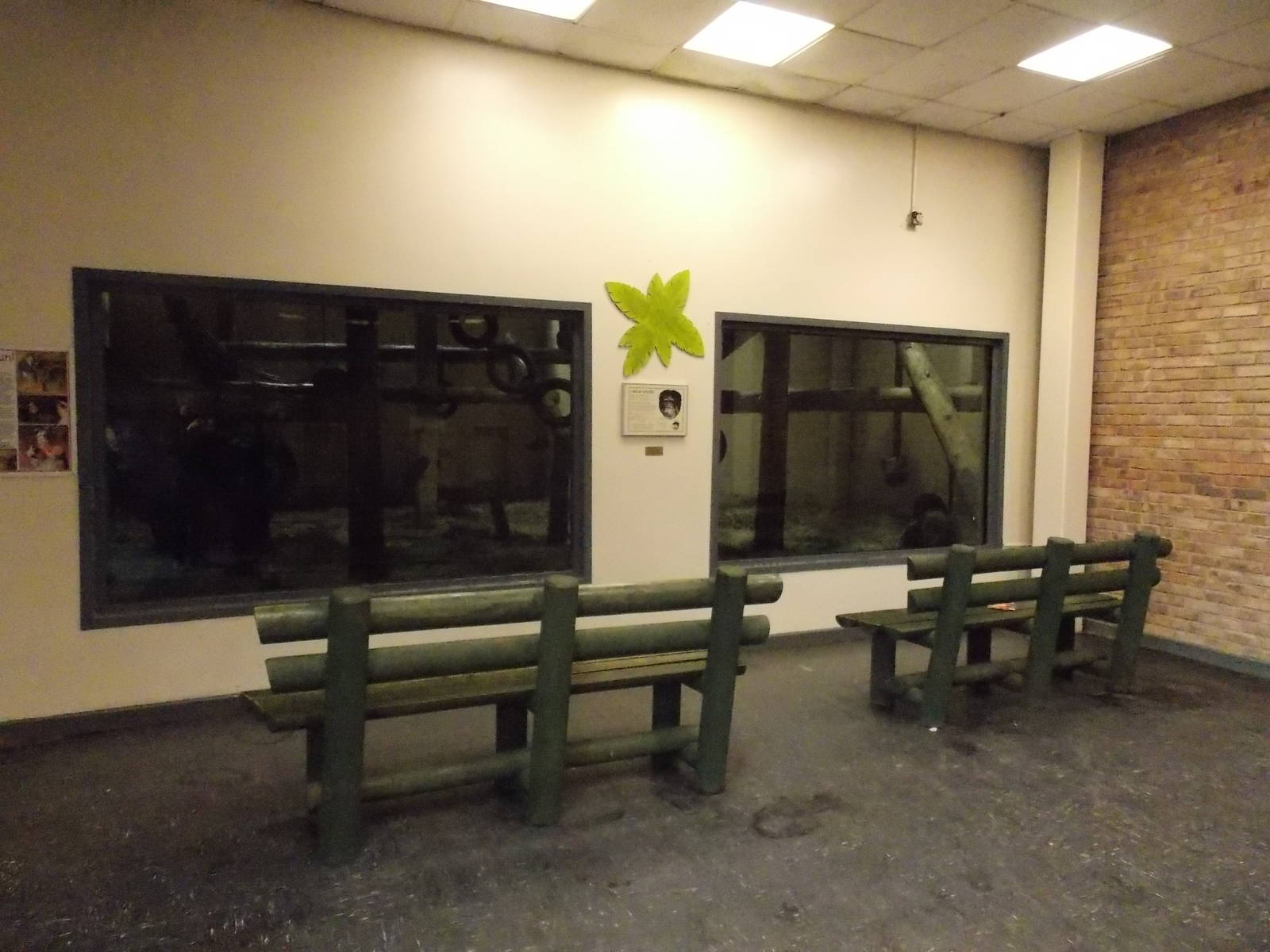 Chimpanzee indoor area viewing