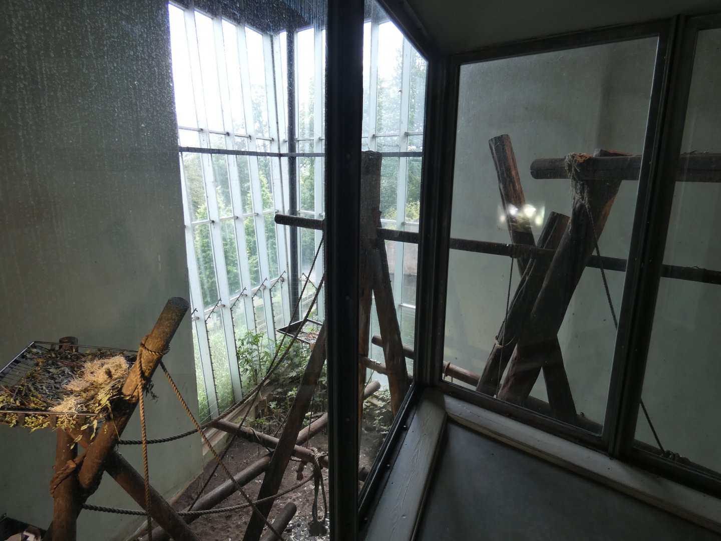 Chimpanzee indoor enclosure (1)