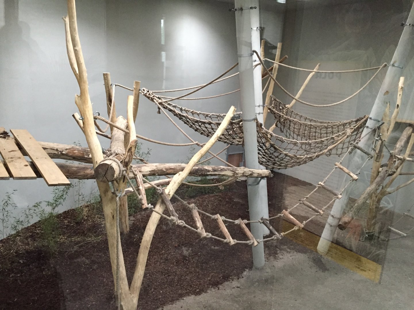 Chimpanzee indoor enclosure 10.2020.