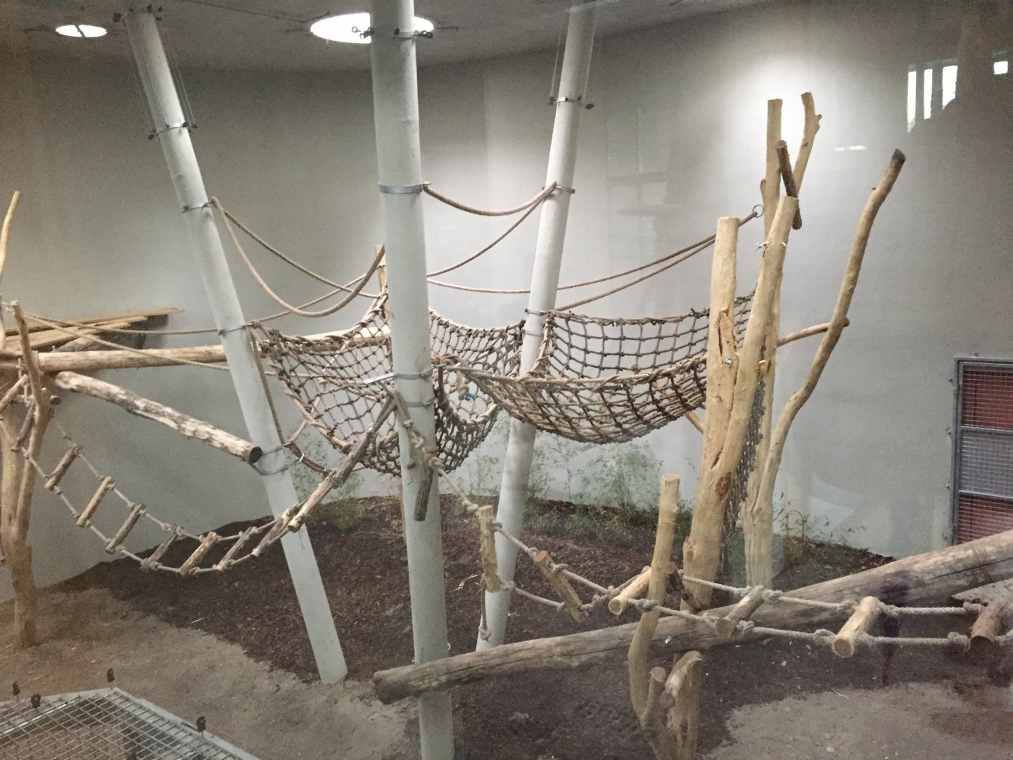 Chimpanzee indoor enclosure 10.2020.
