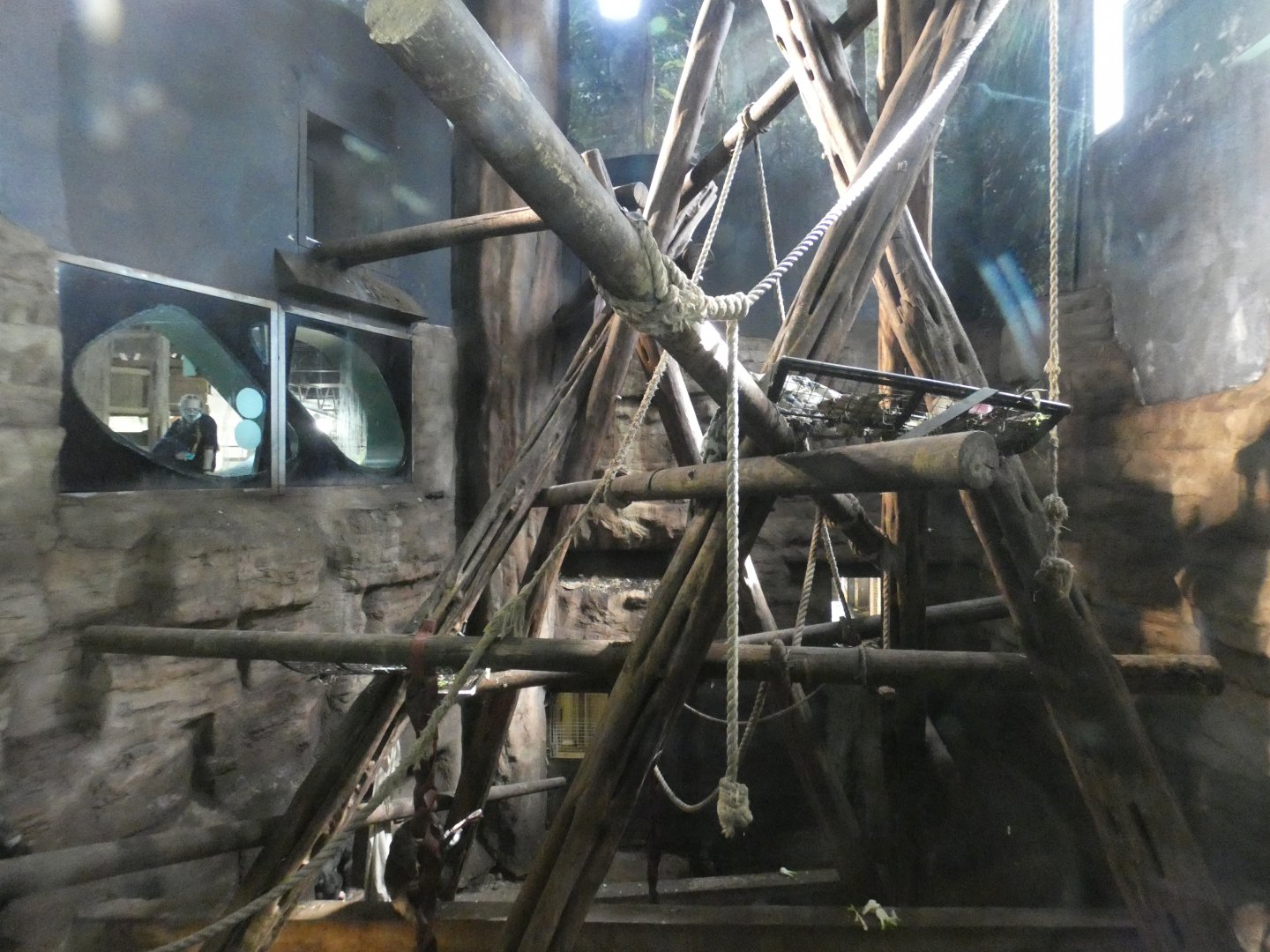 Chimpanzee indoor enclosure (3)