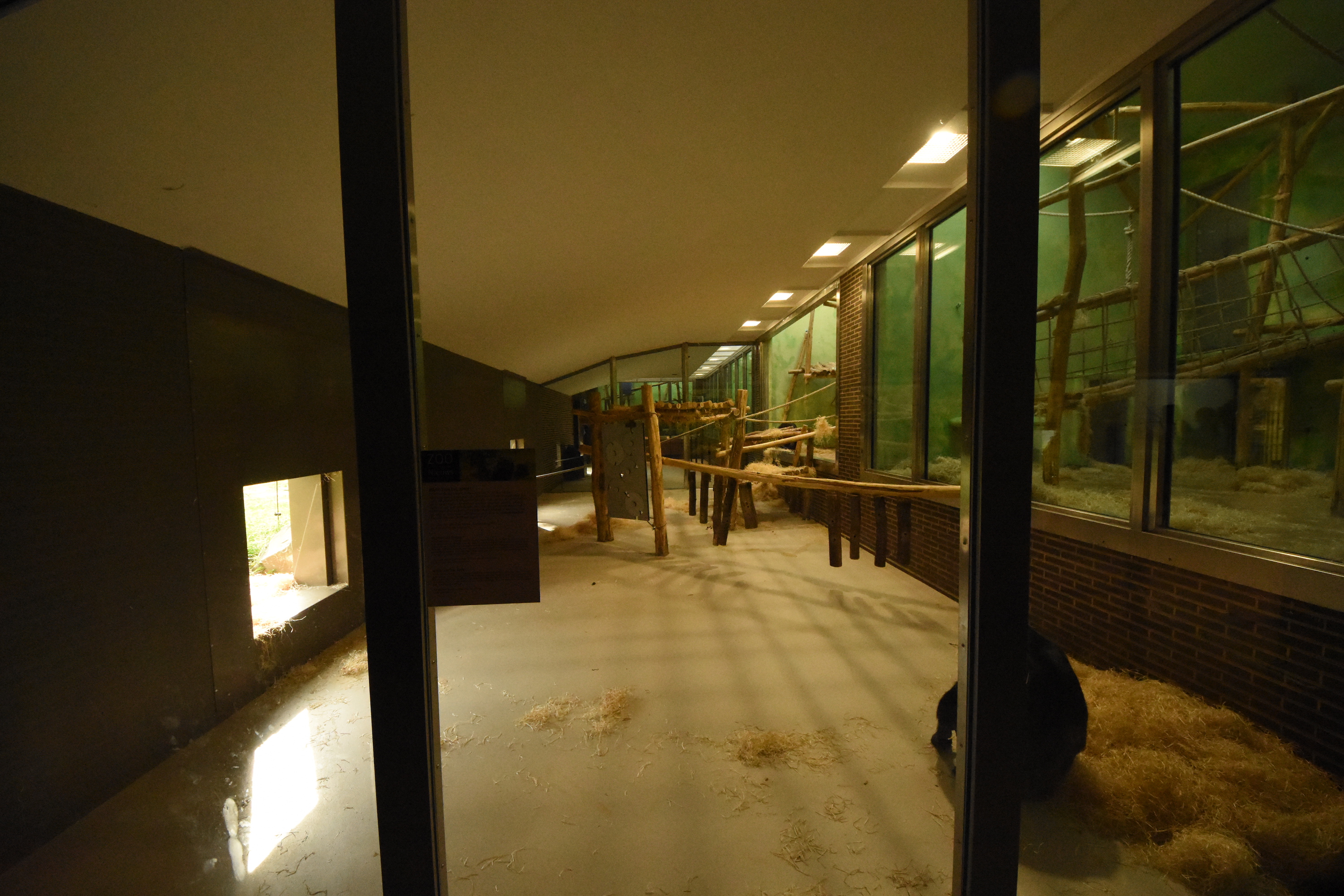 Chimpanzee indoor enclosure extension