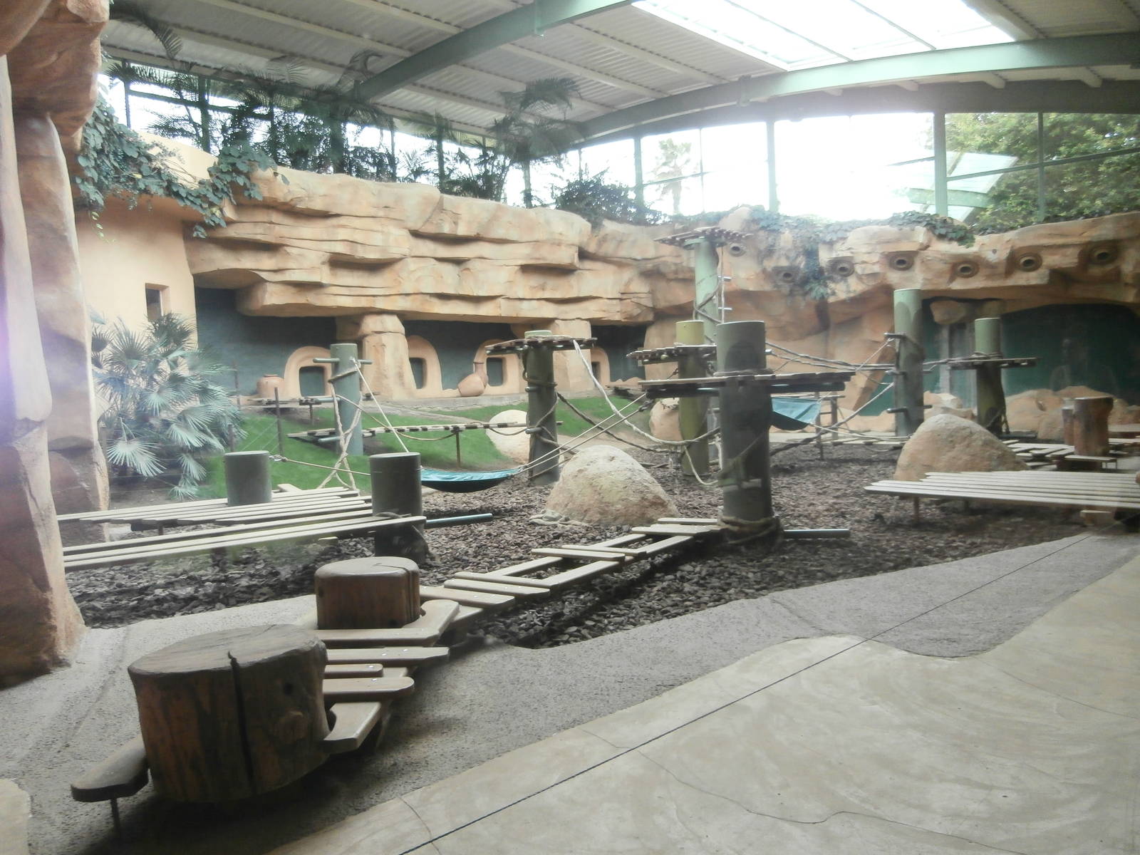 Chimpanzee indoor enclosure