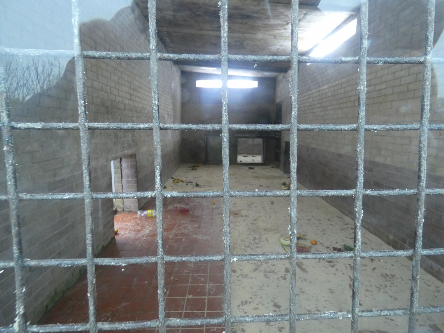 Chimpanzee indoor enclosure