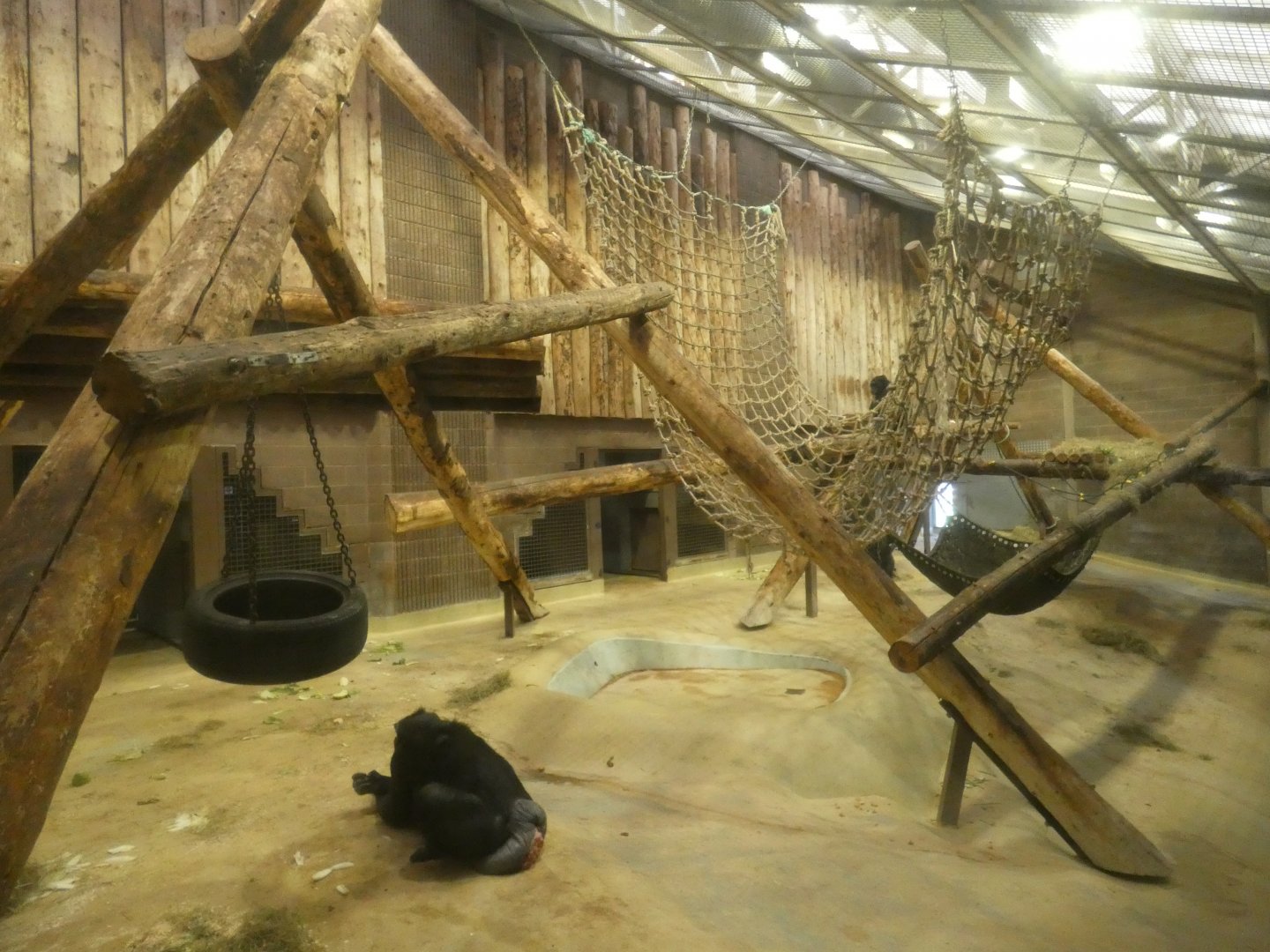 Chimpanzee indoor enclosure