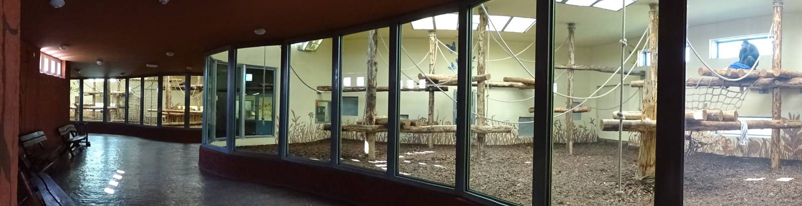 Chimpanzee indoor enclosures