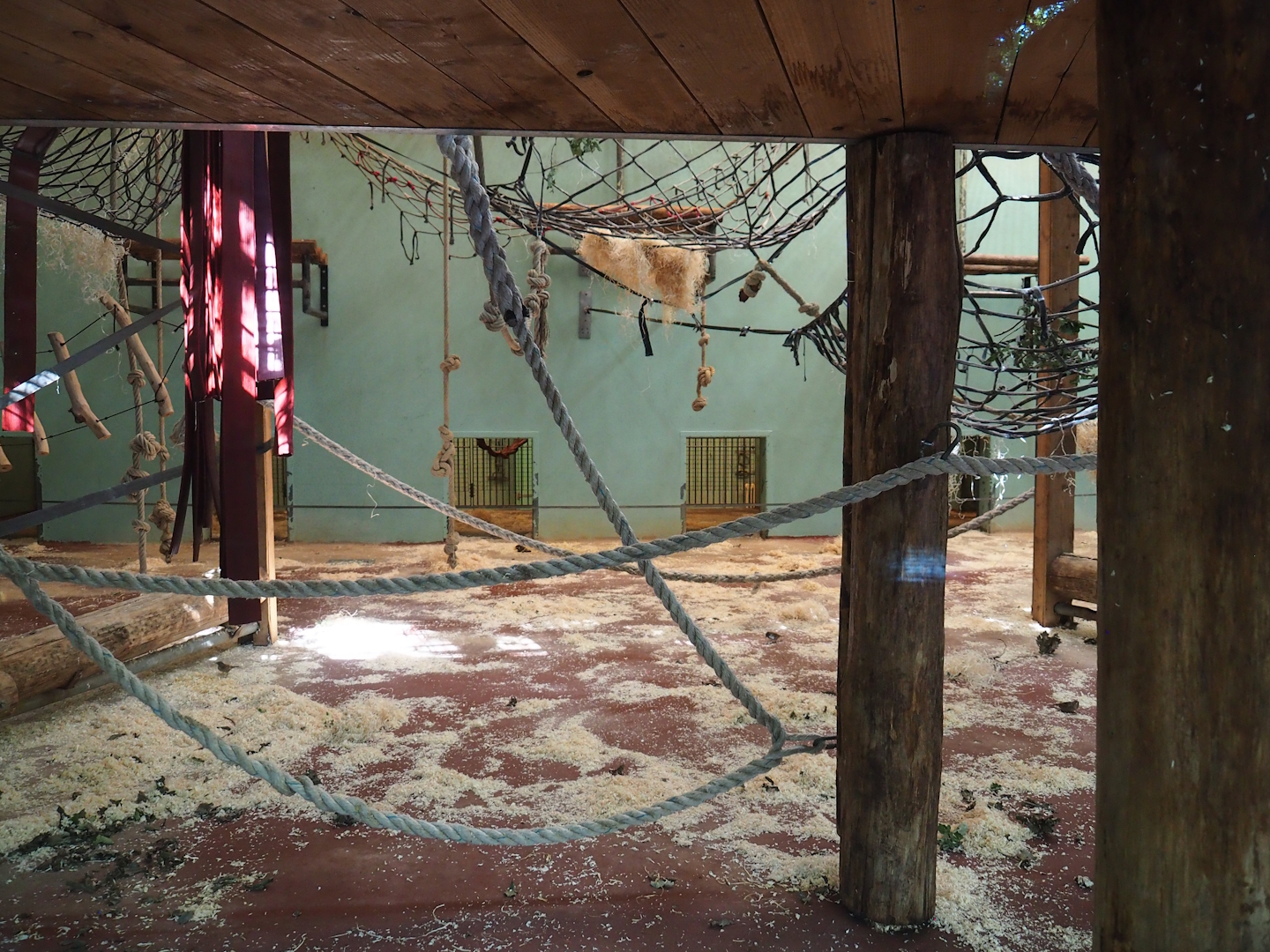 Chimpanzee indoor exhibit, 2023-09-24