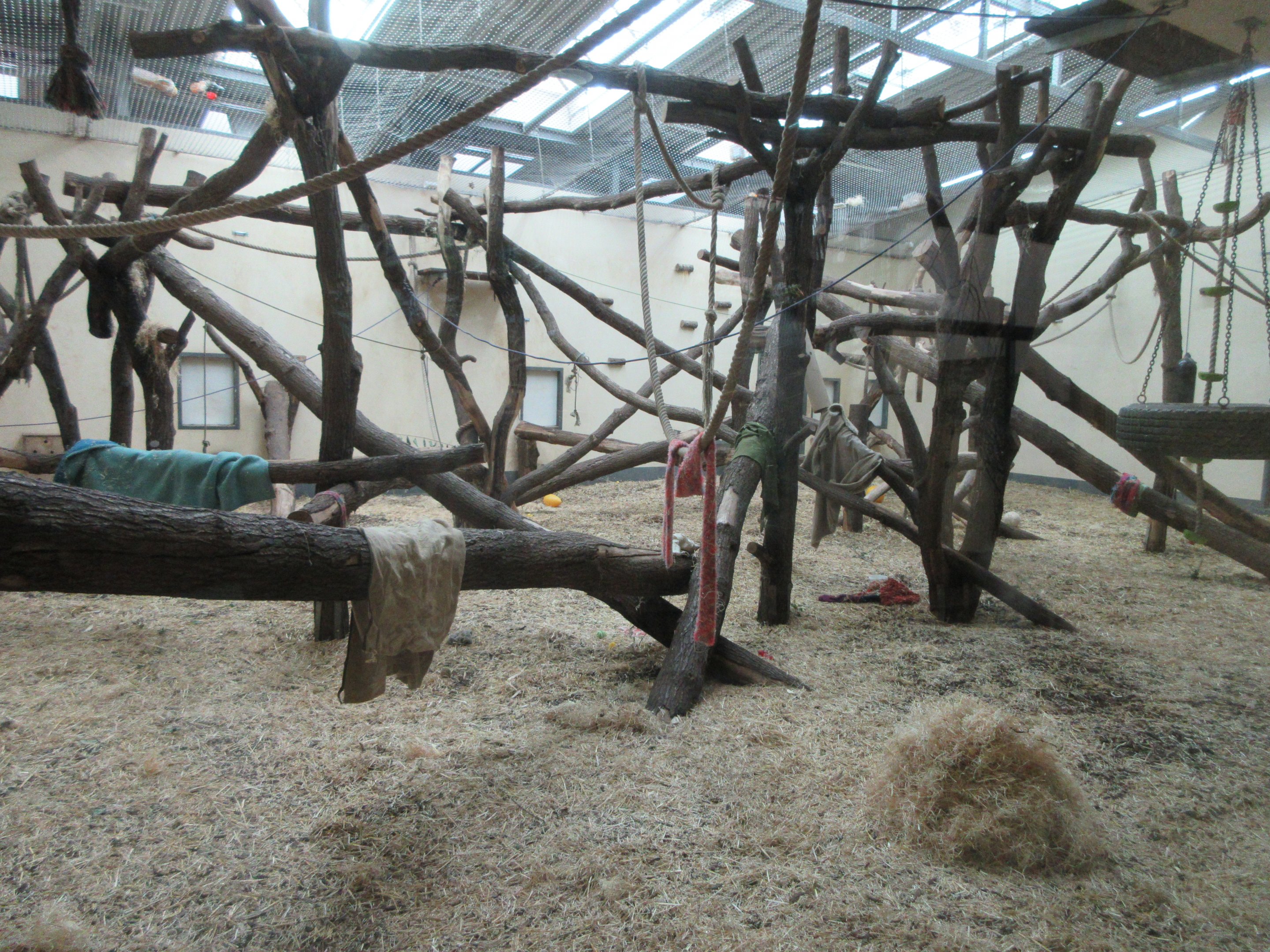 Chimpanzee Indoor Exhibit (ground floor view)