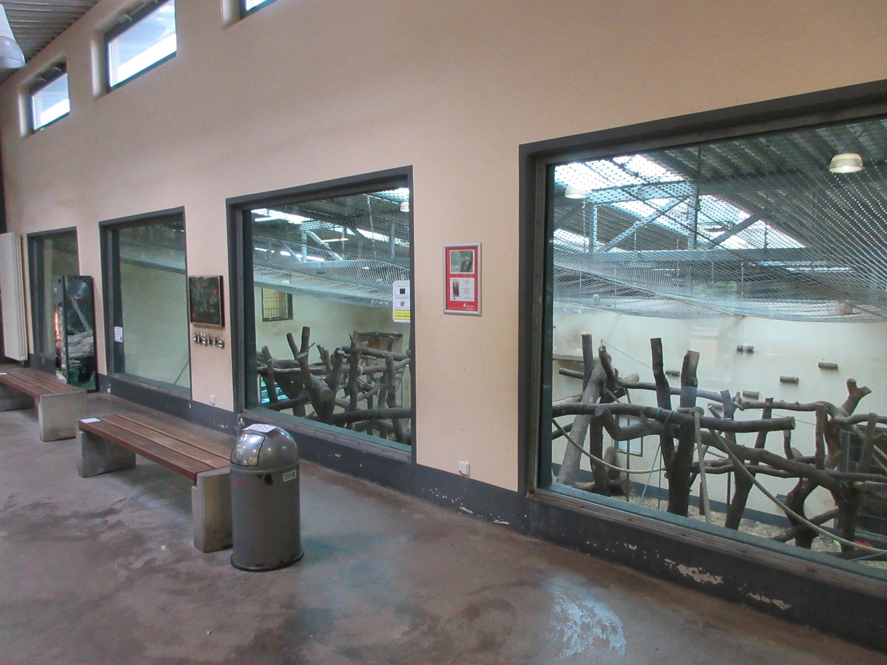 Chimpanzee Indoor Exhibit (upper floor view)
