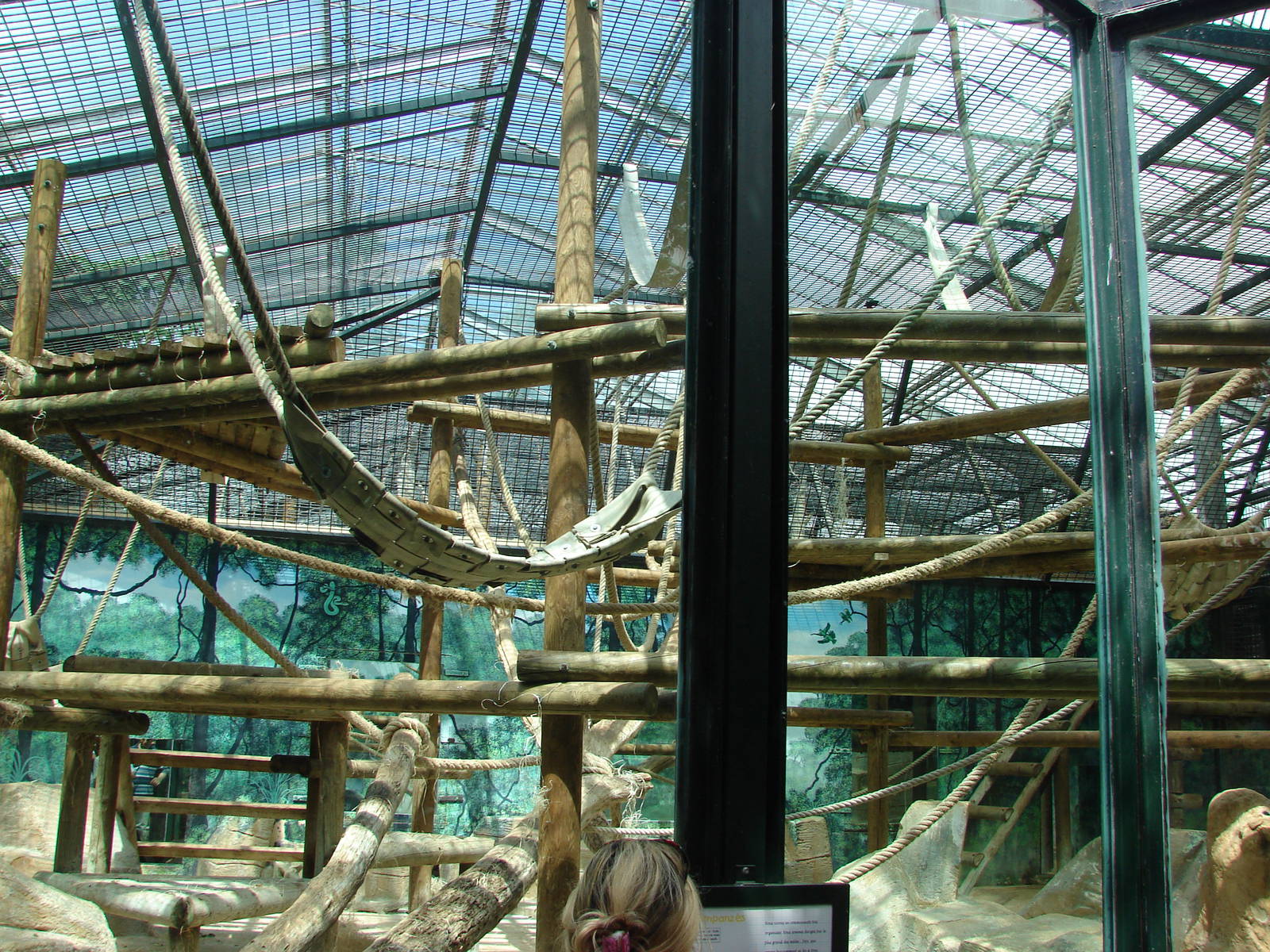 Chimpanzee indoor exhibit