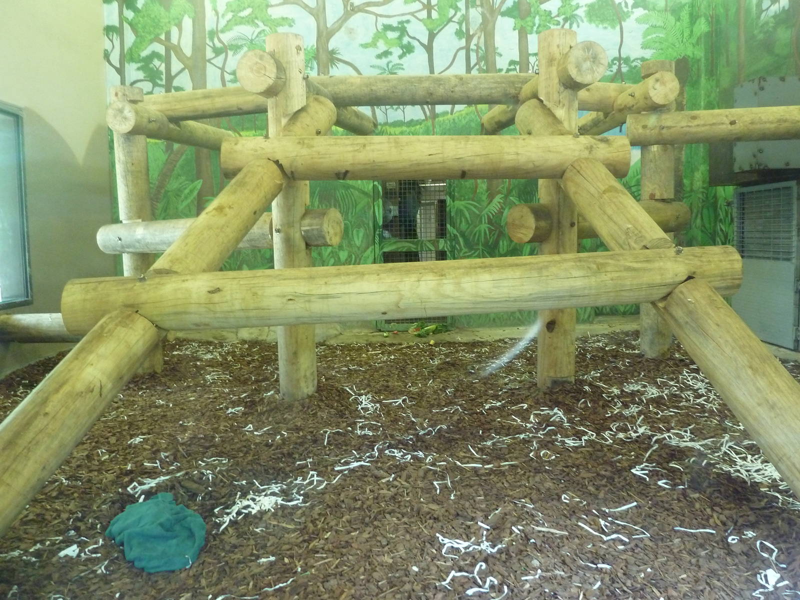 Chimpanzee Indoor Exhibit