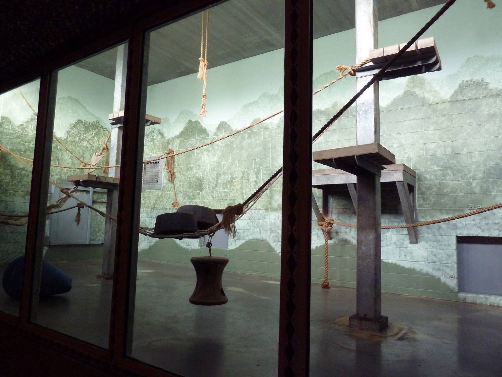 Chimpanzee Indoor Exhibit