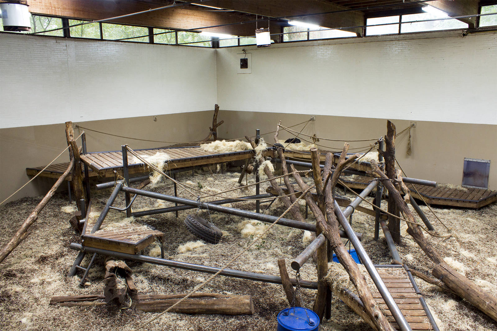 Chimpanzee indoor exhibit