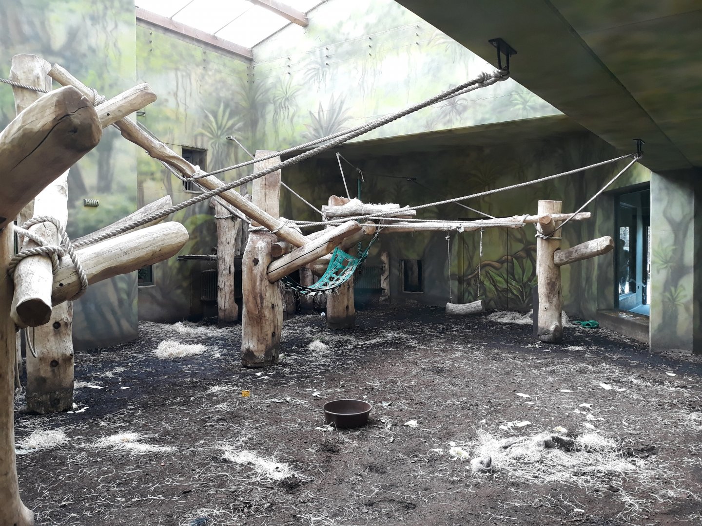 Chimpanzee indoor exhibit