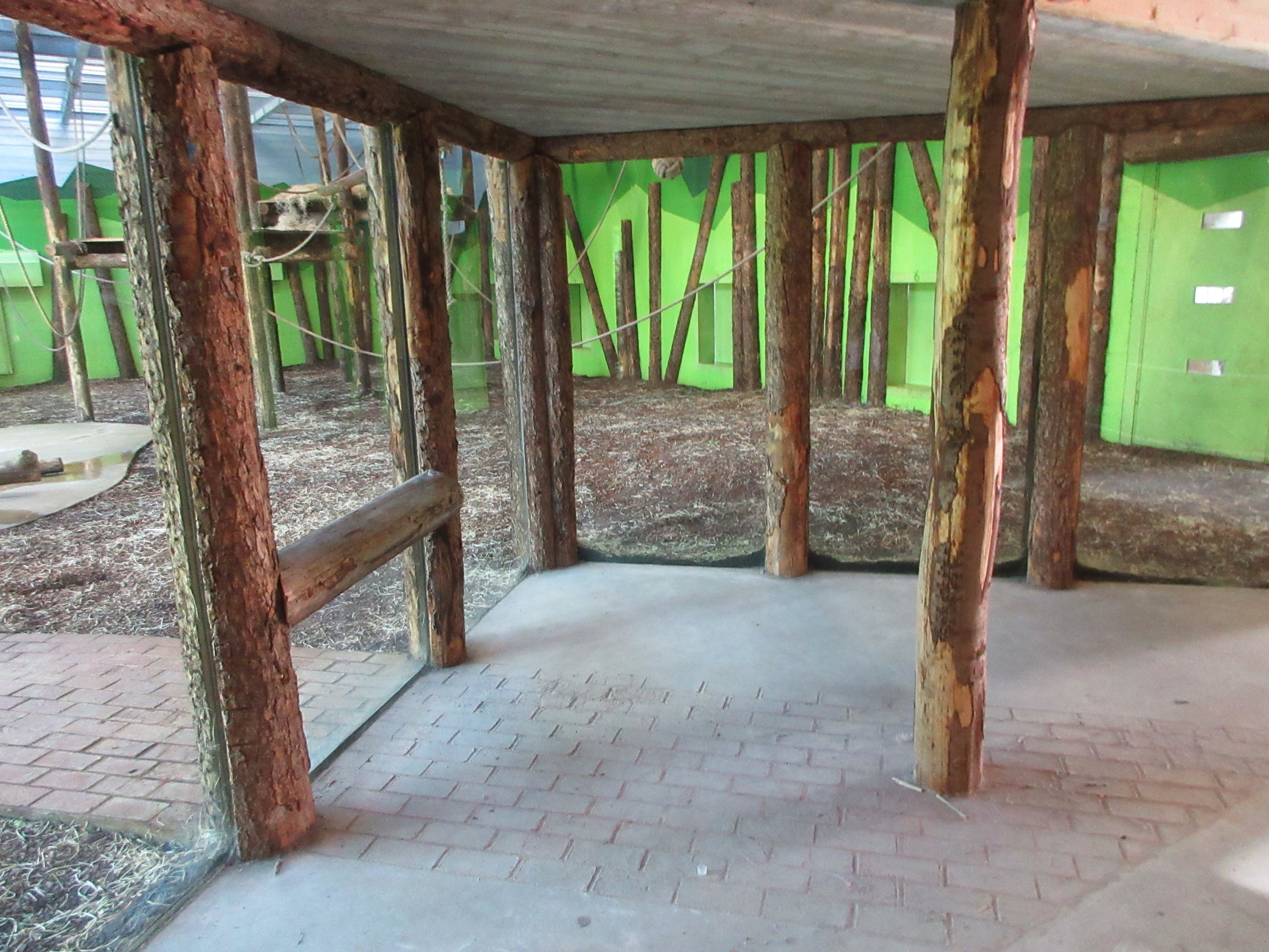 Chimpanzee Indoor Exhibit