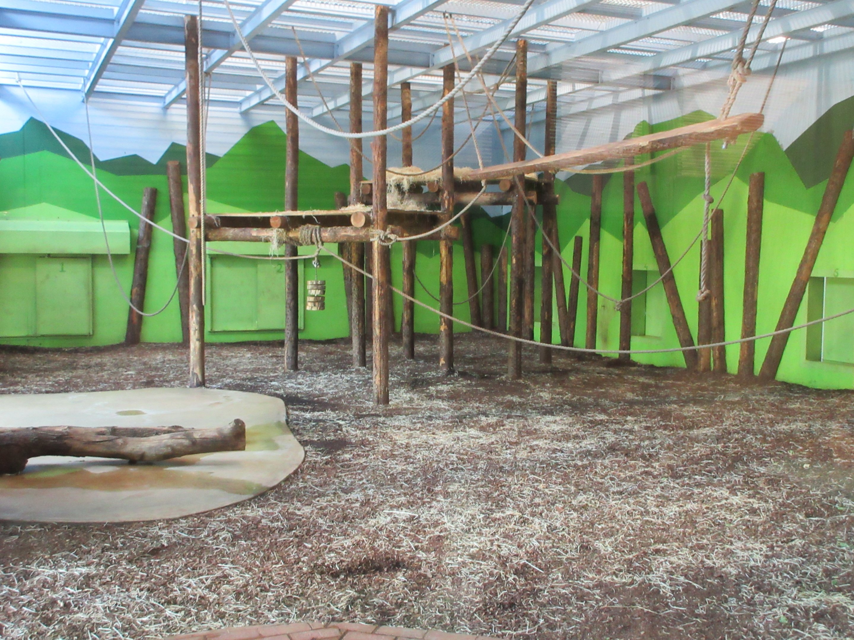 Chimpanzee Indoor Exhibit