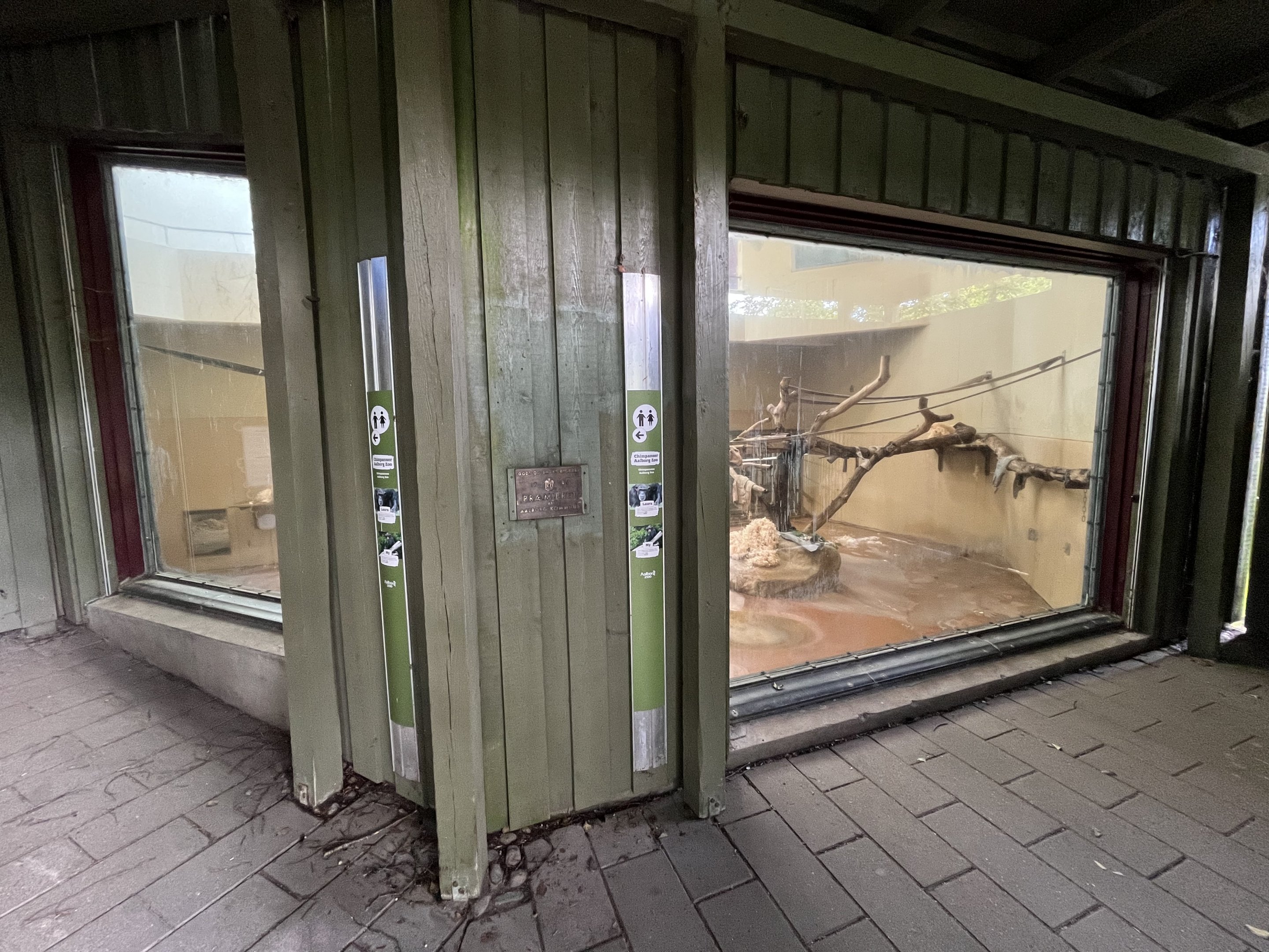 Chimpanzee Indoor Exhibit